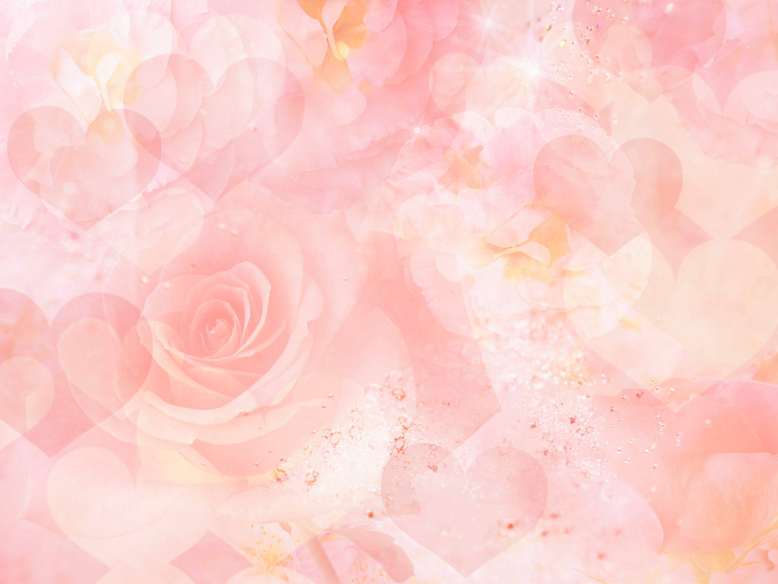 Light Pink, rose, hearts, HD Desktop Wallpaper