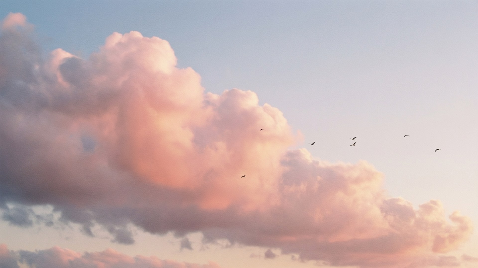 Dawn Pink Clouds, soft pink, purple light, Full HD Desktop Wallpaper