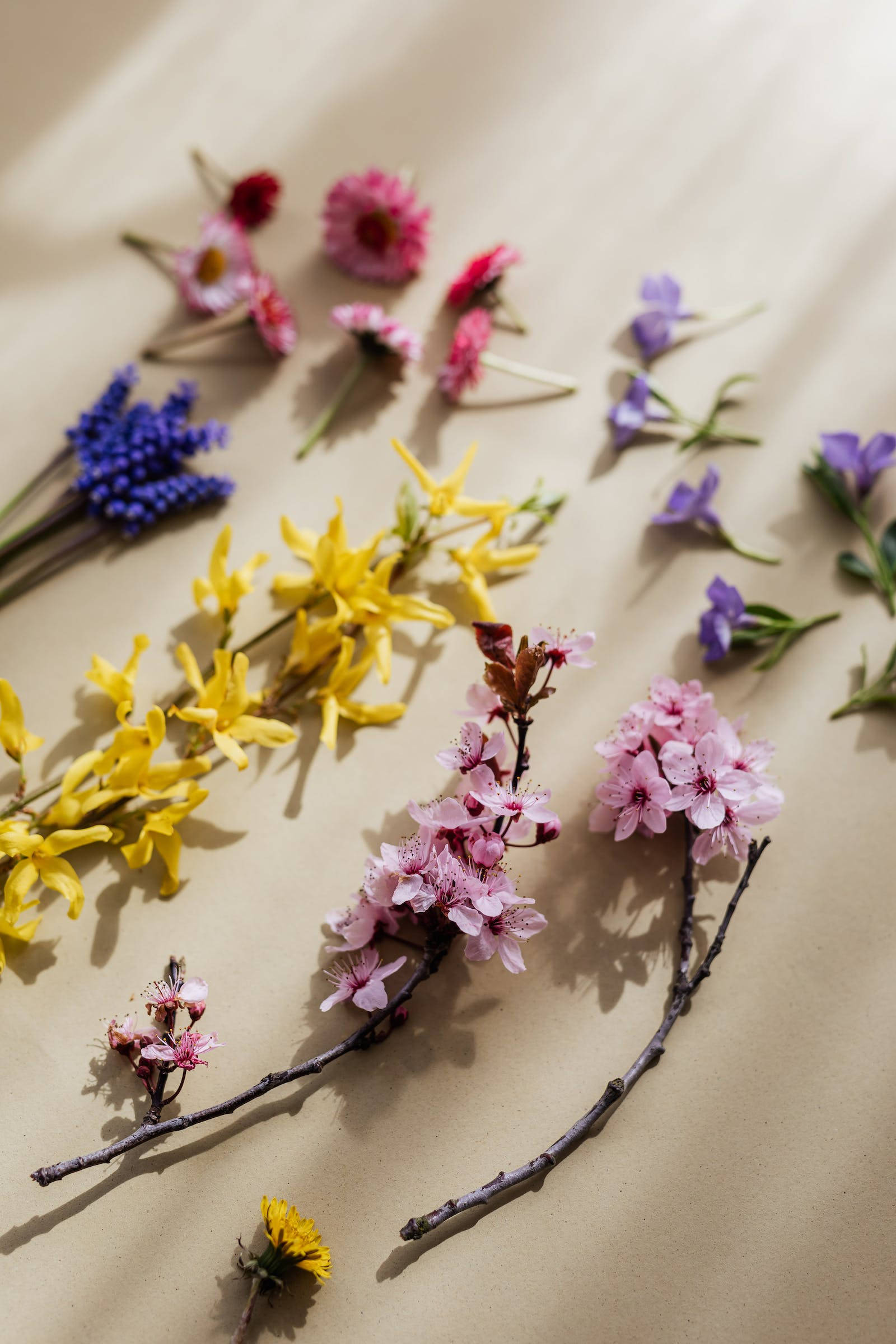 light purple aesthetic, vibrant spring flowers, pink yellow and purple, Full HD Phone Wallpaper