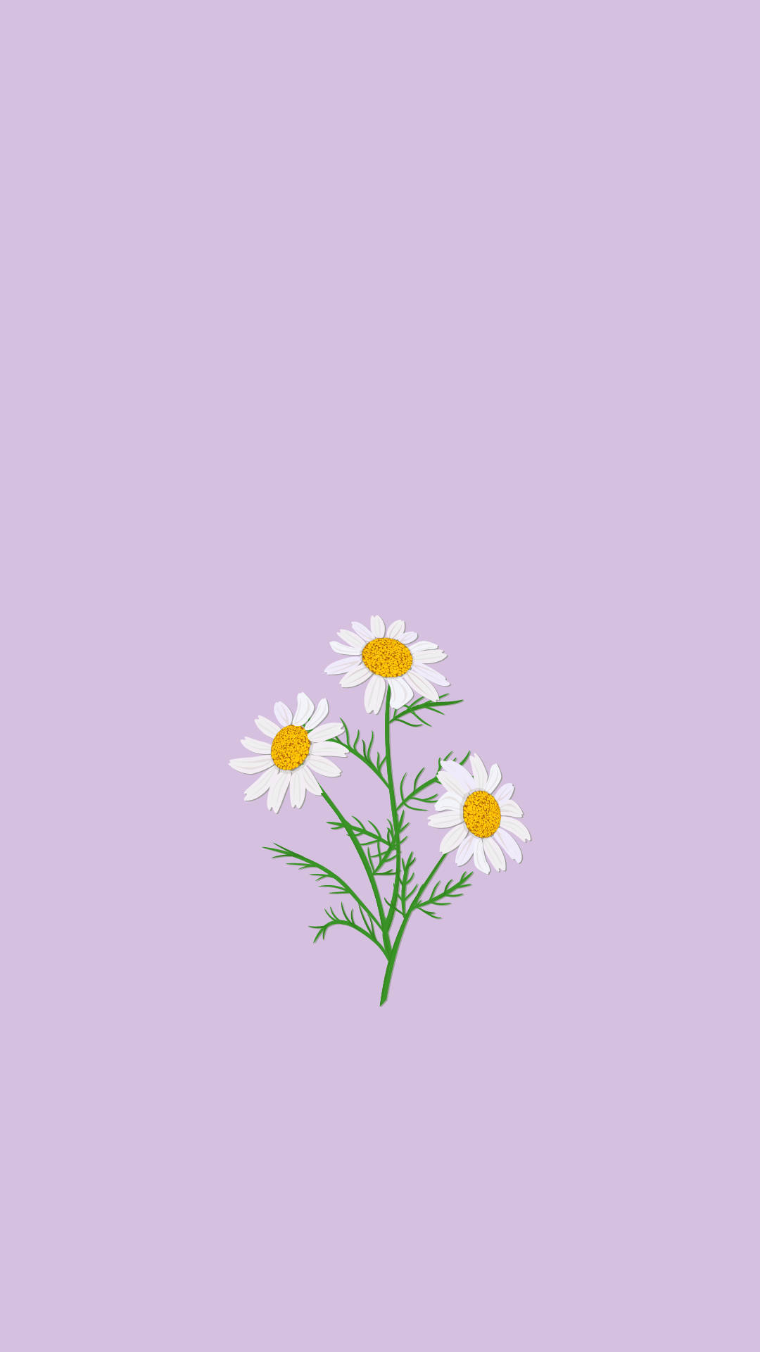 aesthetic purple flower, daisies, yellow centers, Full HD Phone Wallpaper