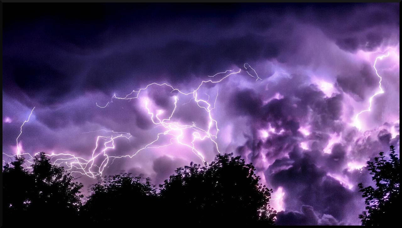 Light Purple, lightning, forest, HD Desktop Wallpaper