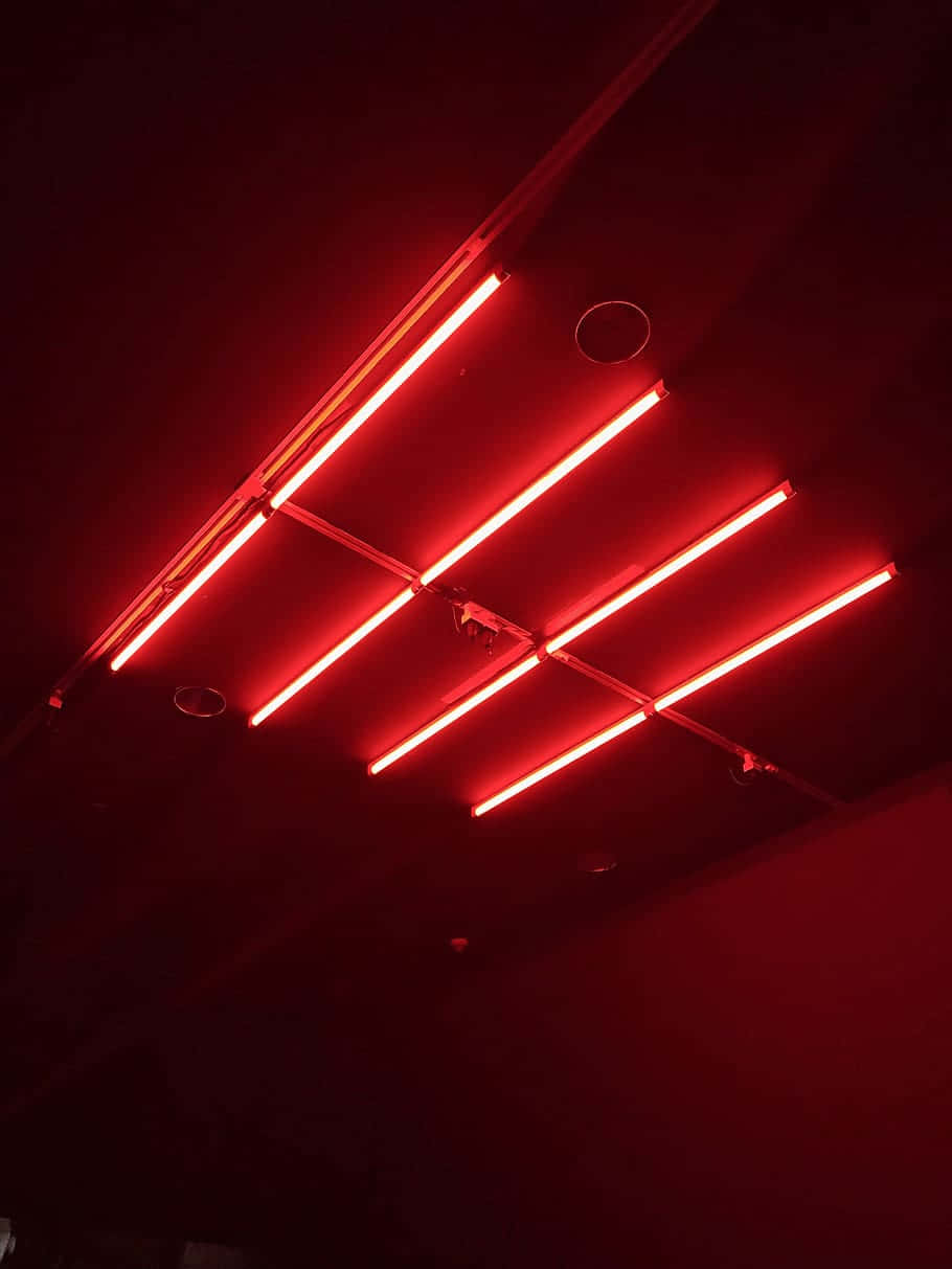 light red, neon tubes, dark ceiling, SD Phone Wallpaper