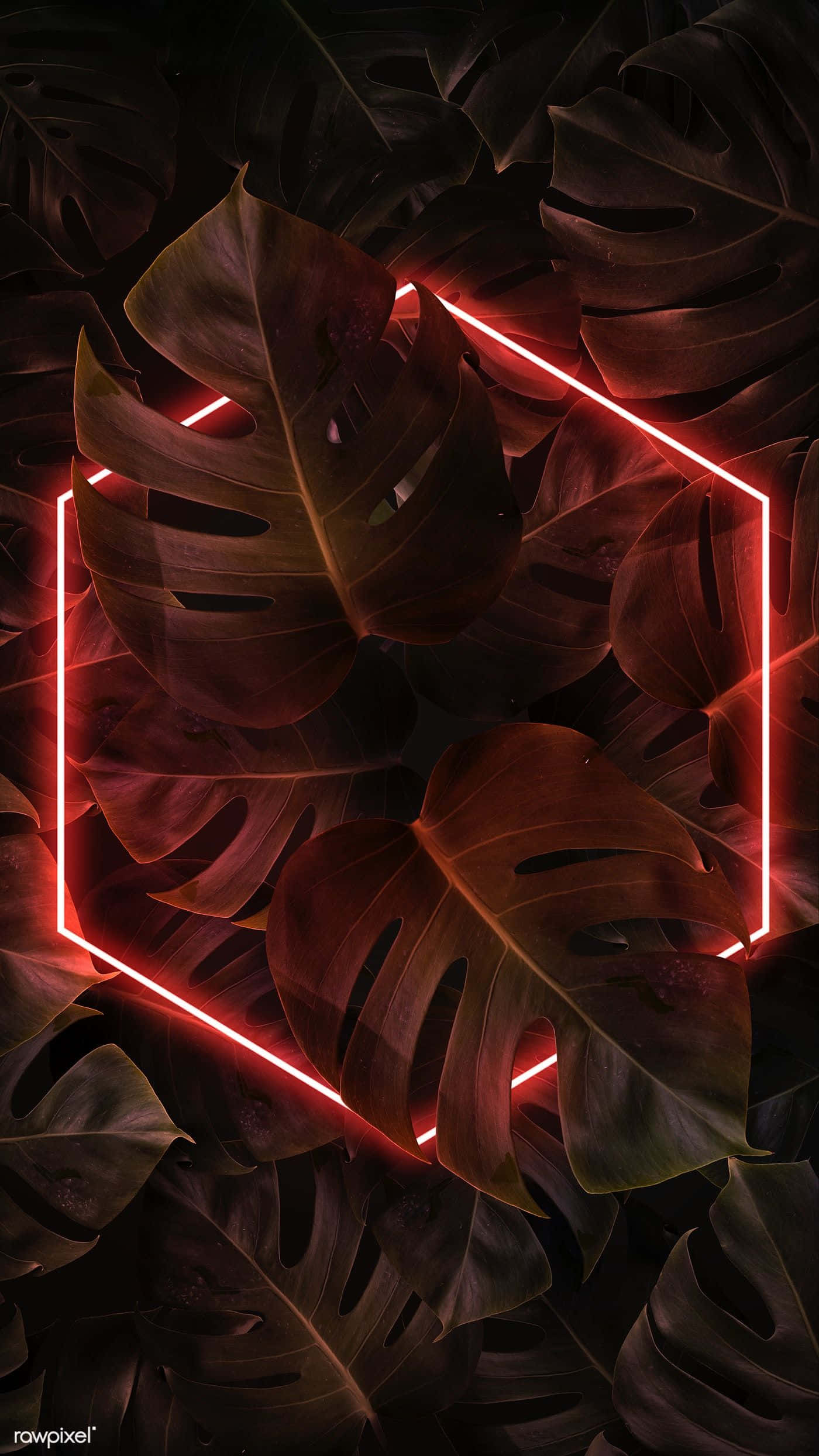 Light Red, neon hexagon, dark monstera leaves, Full HD Phone Wallpaper