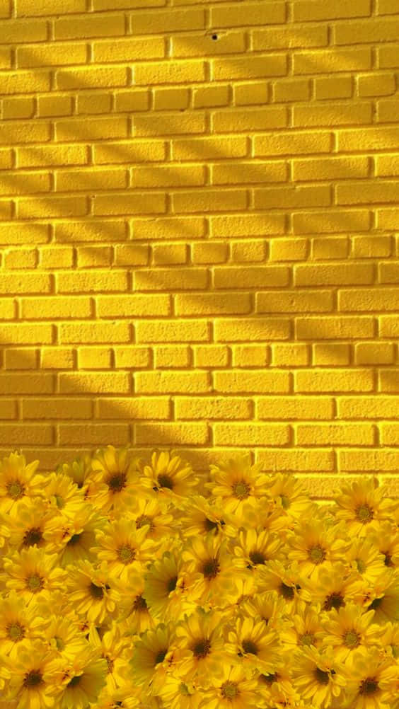 Light Yellow, sunflowers, yellow brick wall, SD Phone Wallpaper