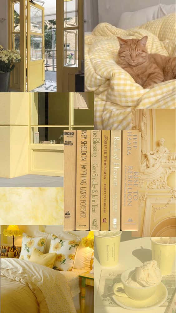 Soft Light Yellow Collage Art, sleeping cat, sunlit doorway, SD Phone Wallpaper