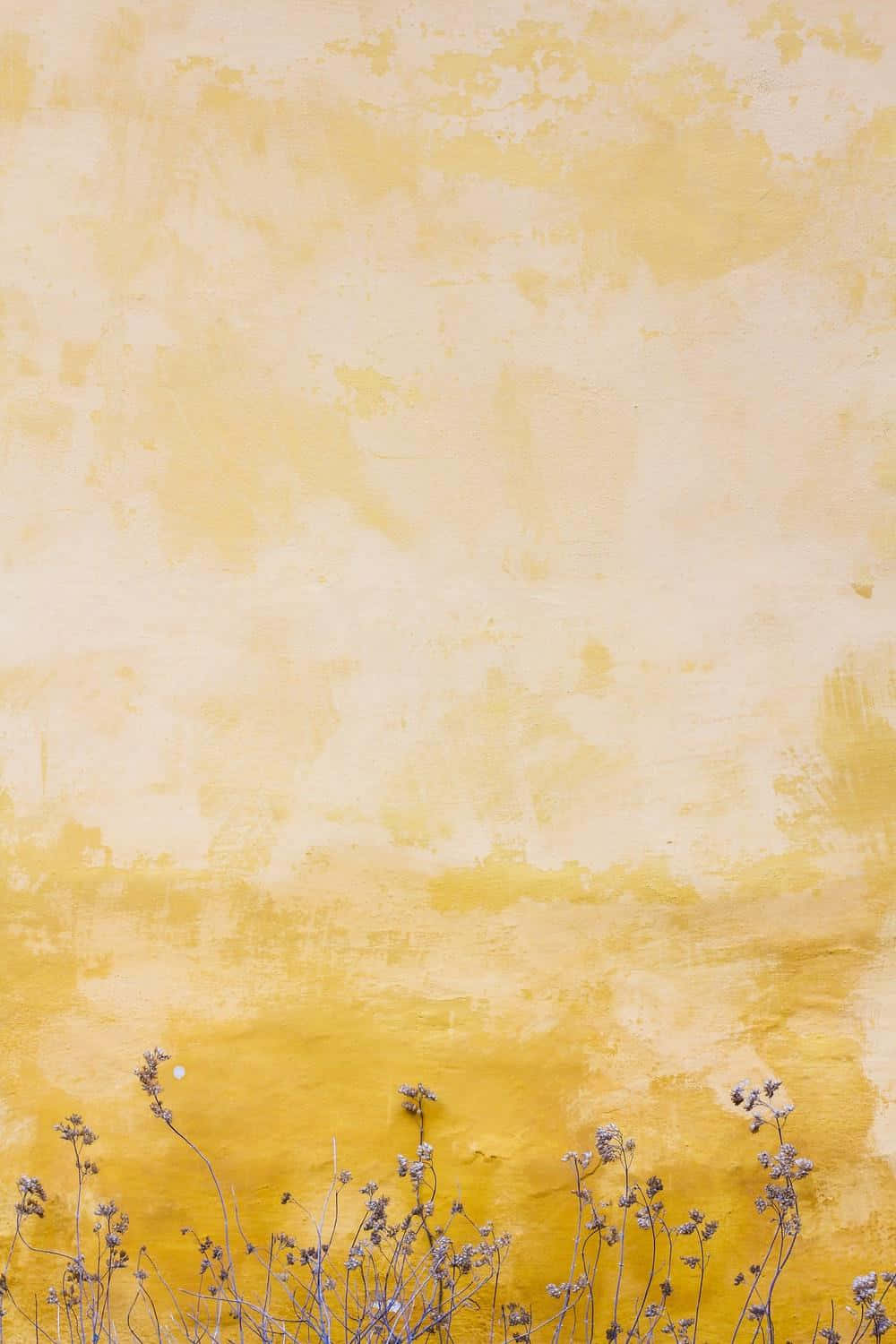 light yellow, dry grasses, textured yellow wall, HD Phone Wallpaper
