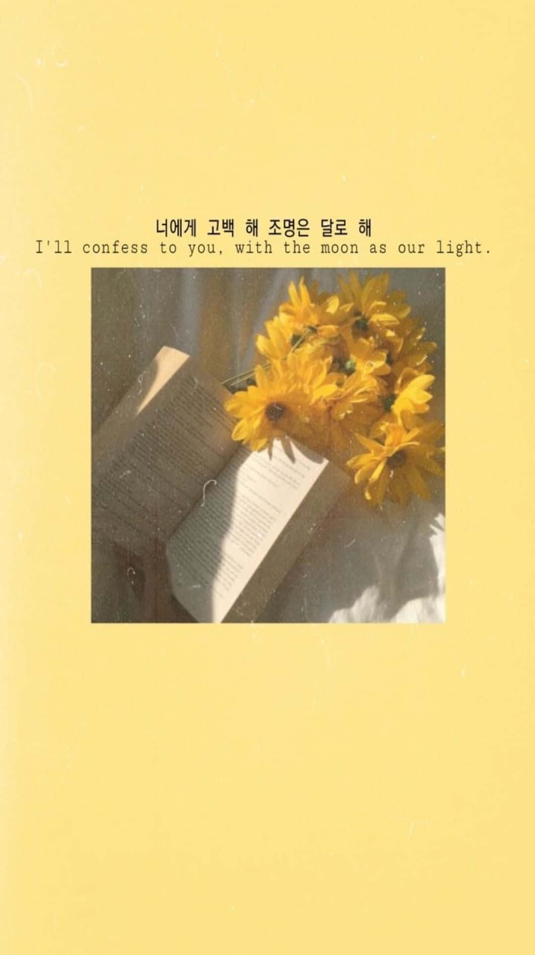 Sunlight, vibrant yellow flowers, soft, warm, nostalgic still life, Full HD Phone Wallpaper