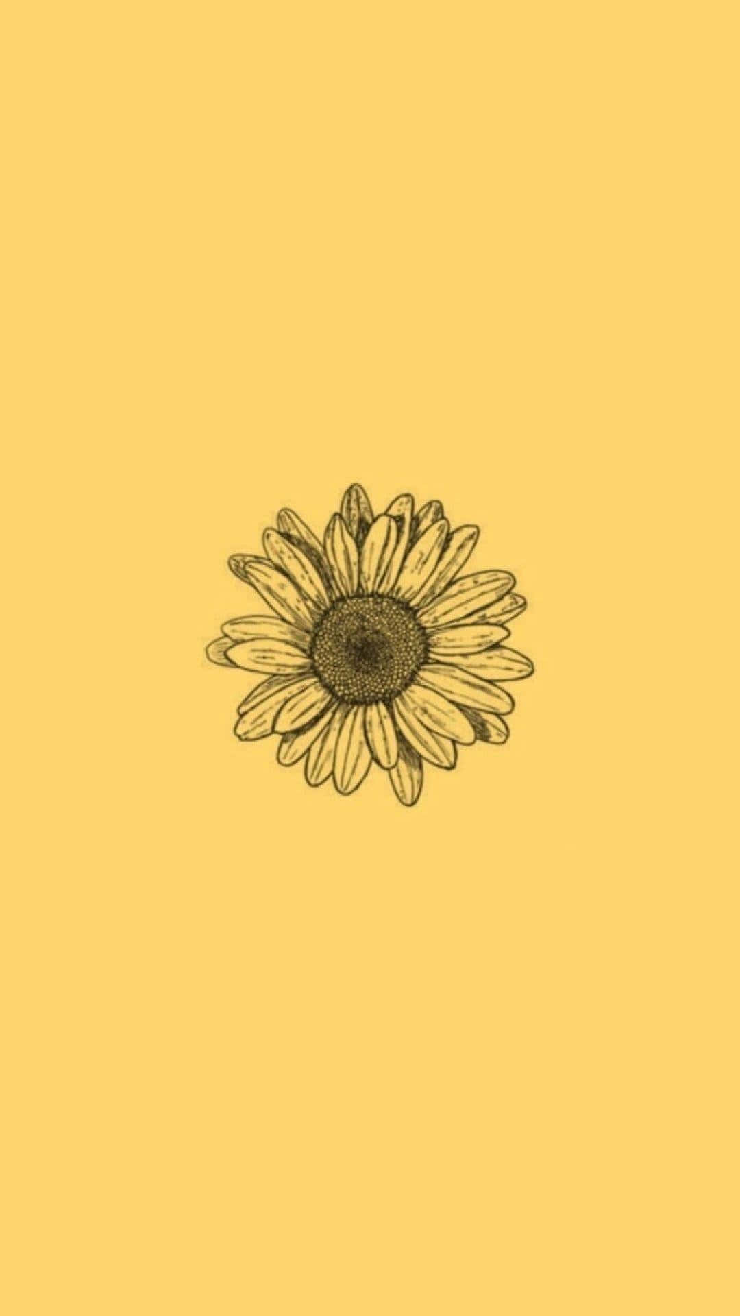 sunflower, warm yellow, minimalist hand-drawn, Full HD Phone Wallpaper