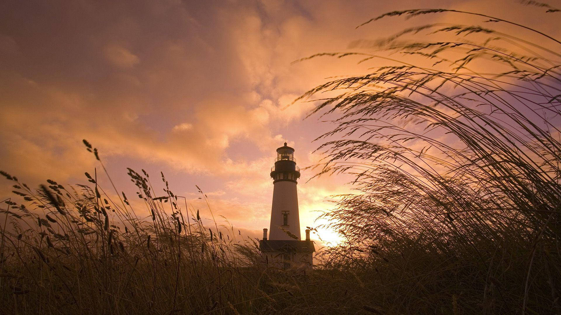 Sunset Field Lighthouse, fiery sunset sky, tall swaying grasses, Full HD Desktop Wallpaper