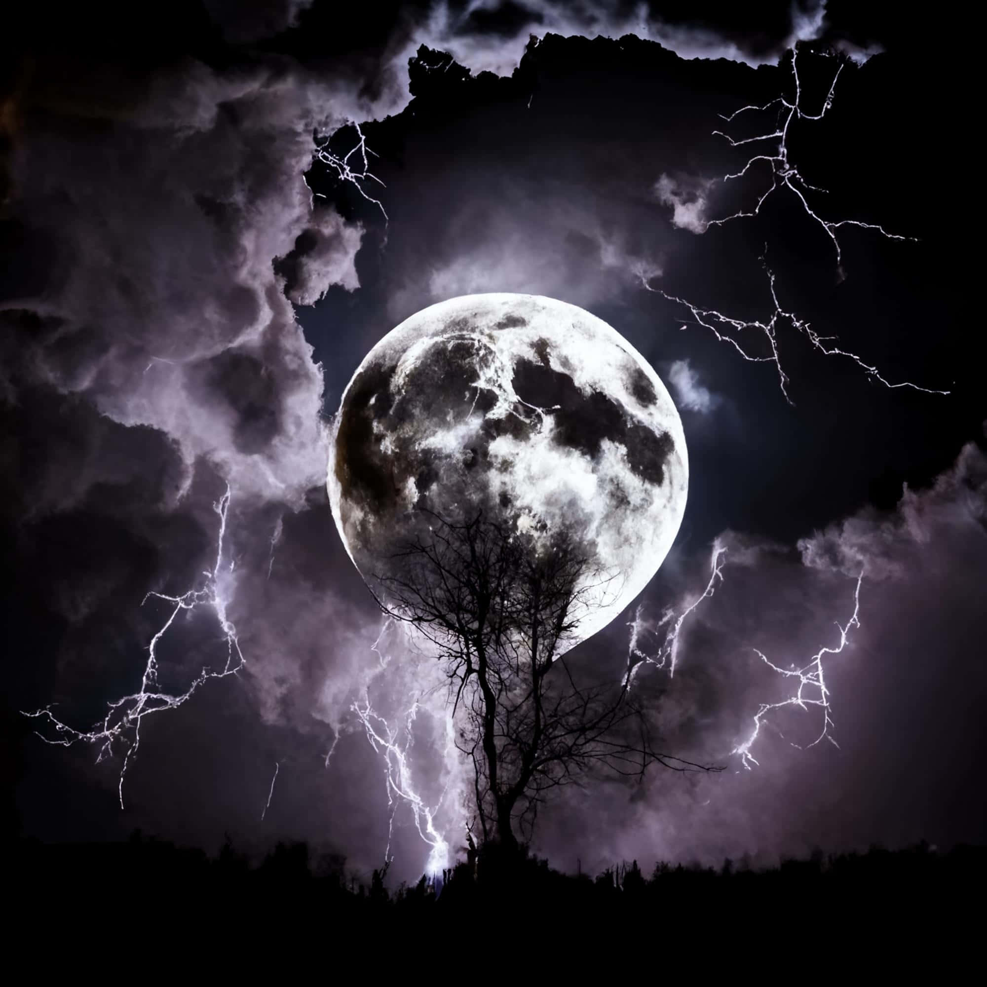 full moon, lone bare tree, lightning forks, Full HD Desktop Wallpaper