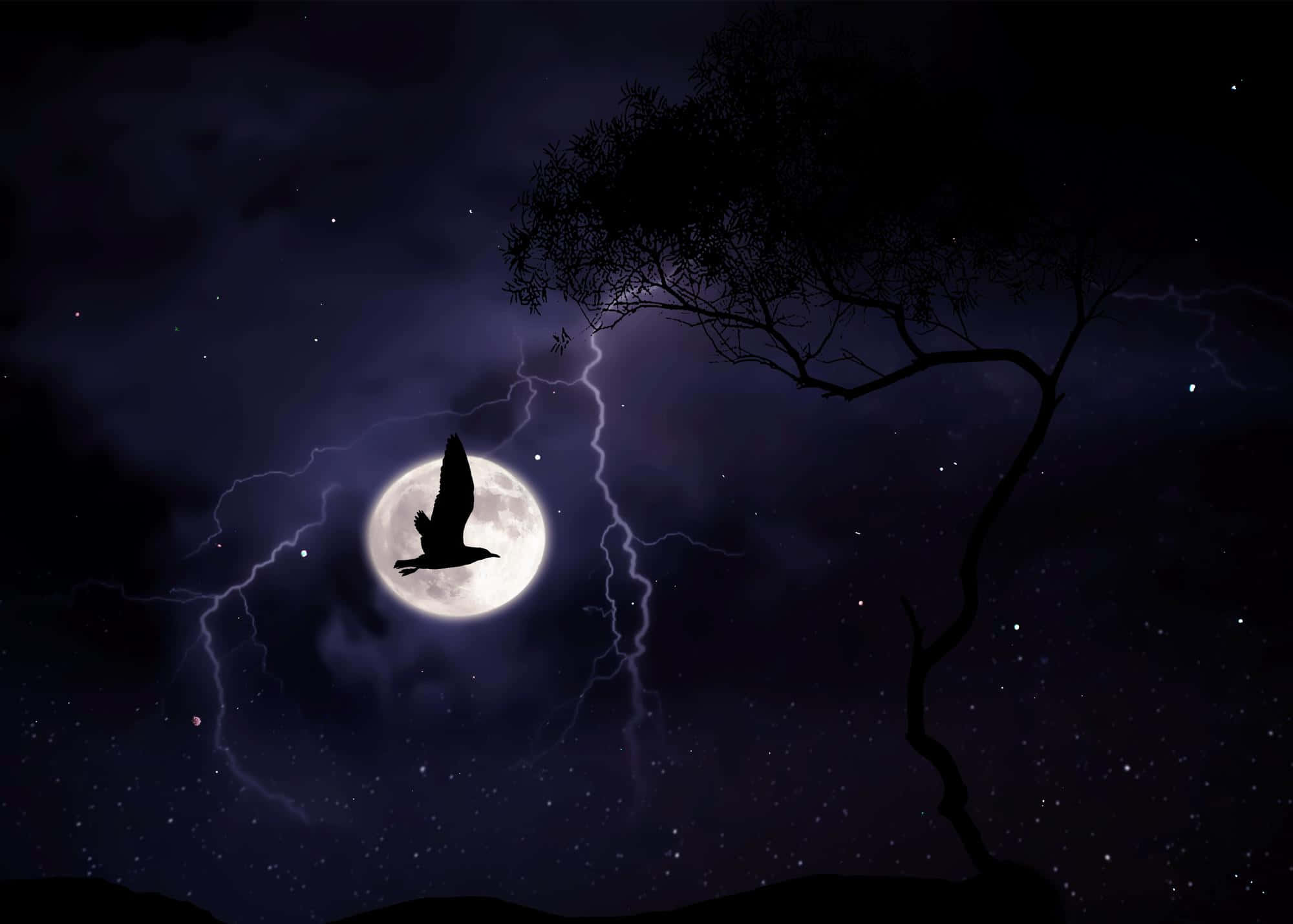 silhouetted bird, full moon, lightning, Full HD Desktop Wallpaper