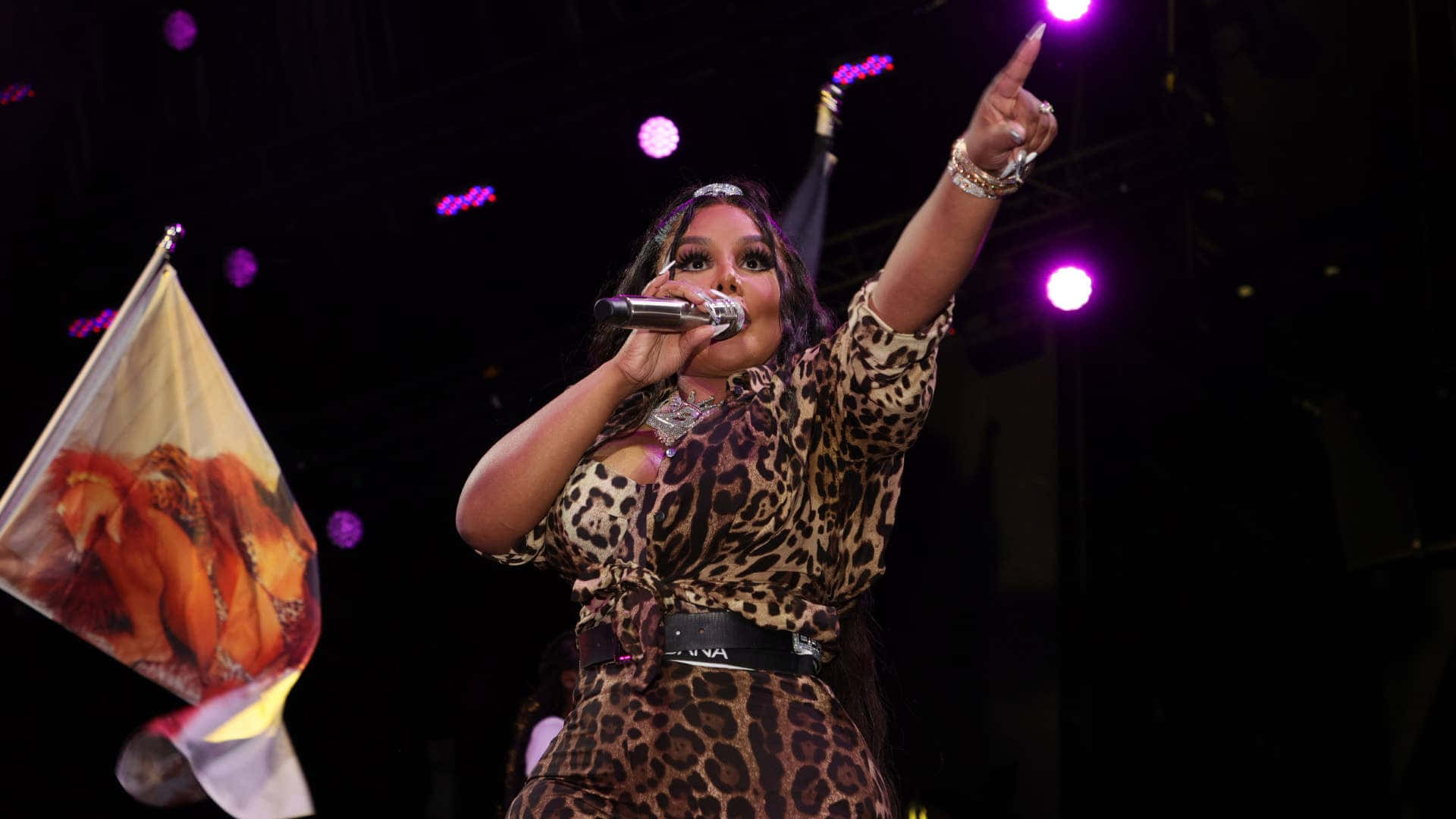 Lil Kim, leopard print outfit, purple lights, Full HD Desktop Wallpaper