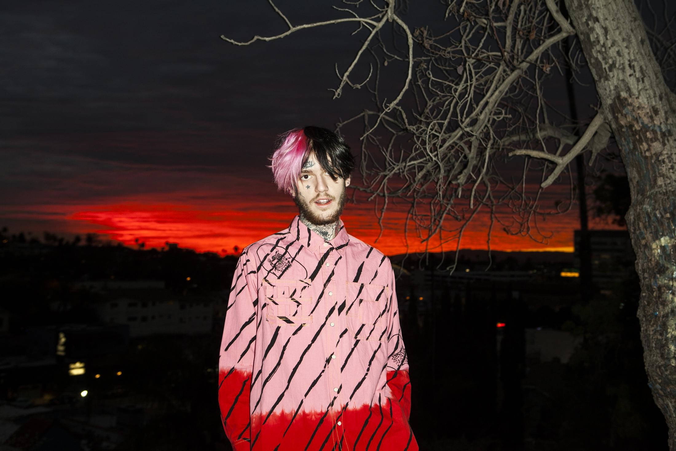 Lil Peep, pink hair, pink red striped shirt, Full HD Desktop Wallpaper