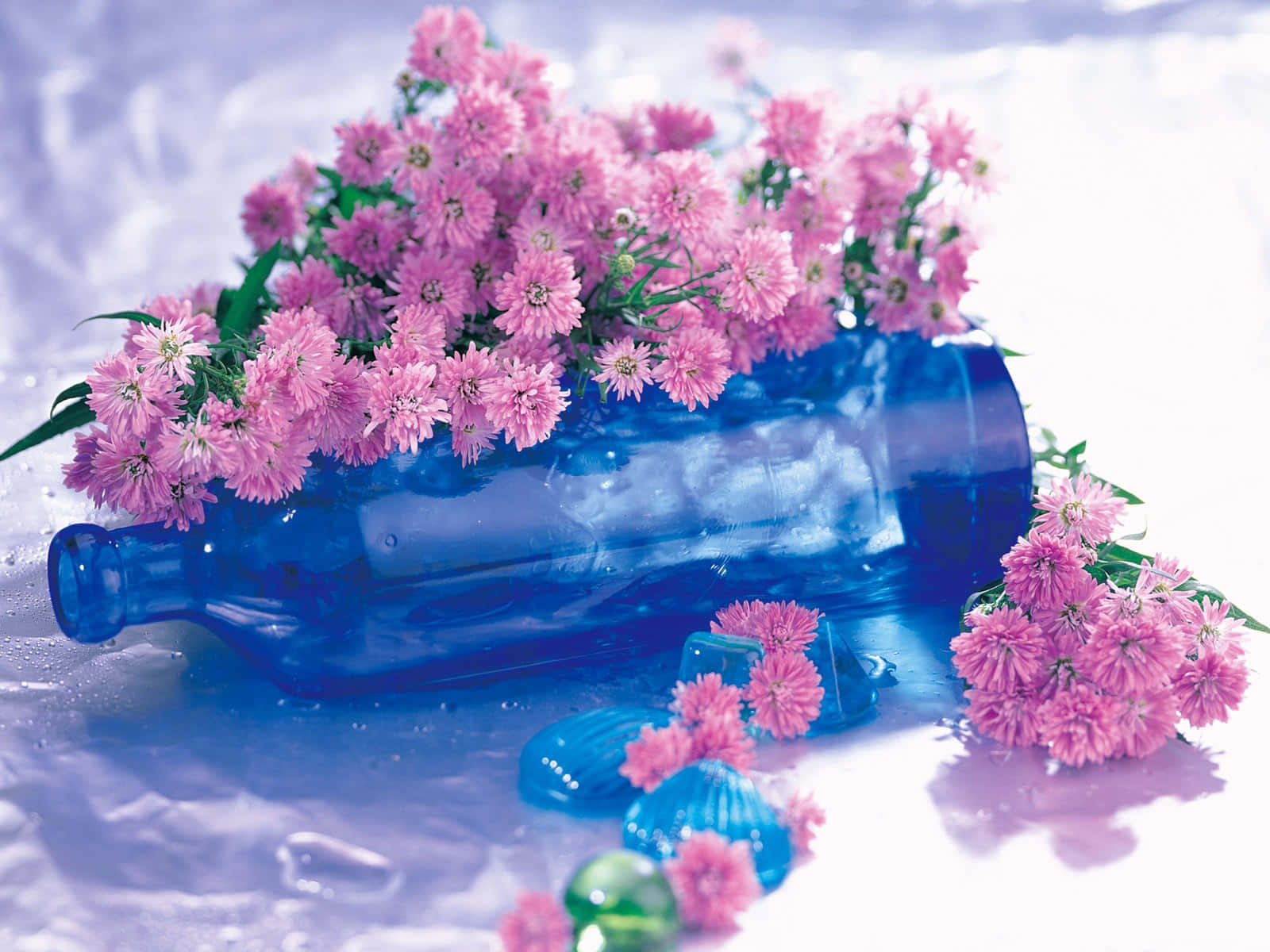 Pink Lilac Color Flowers, blue glass bottle, wet icy surface, HD Desktop Wallpaper