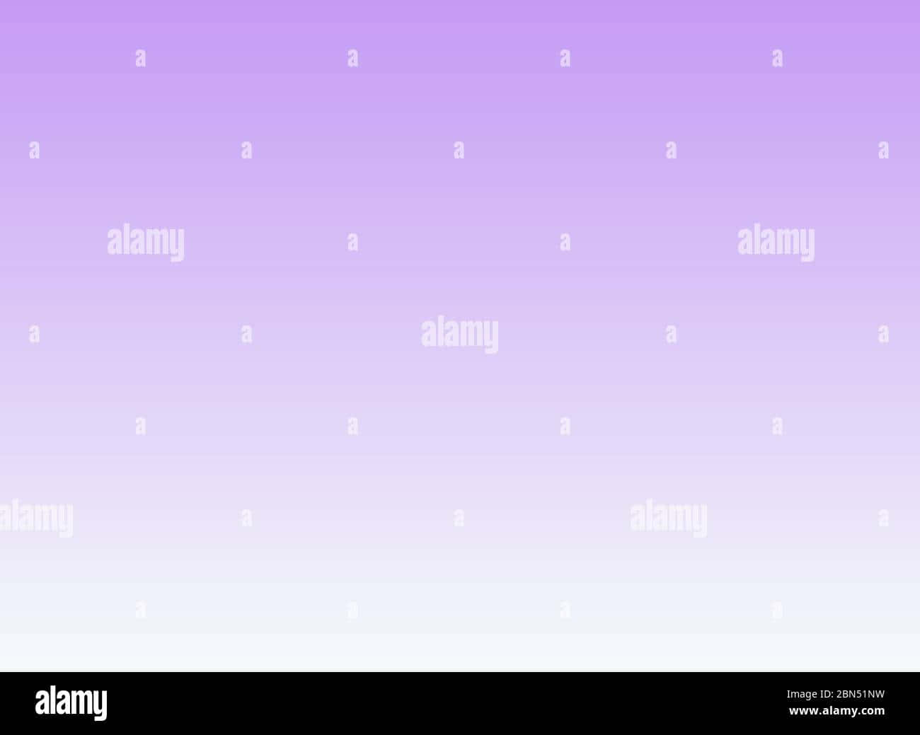 lilac color, lavender, pale white, HD Desktop Wallpaper