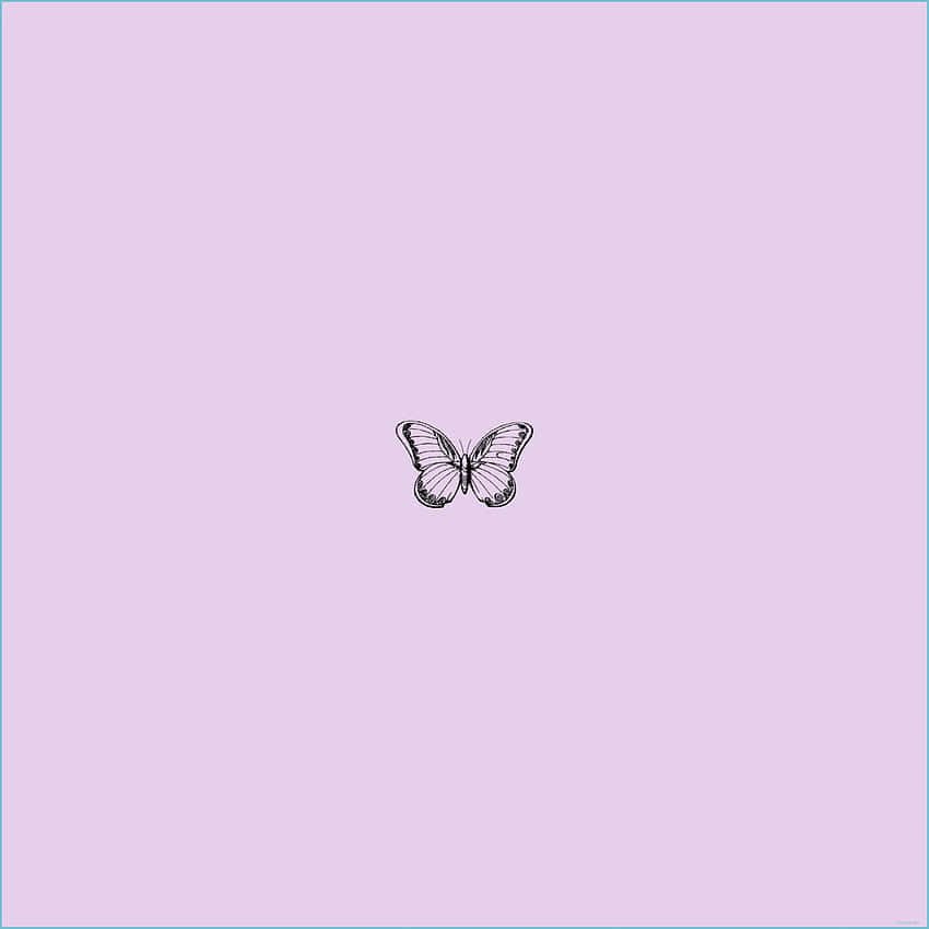 lilac color, black and white line-art butterfly, soft lavender background, SD Desktop Wallpaper