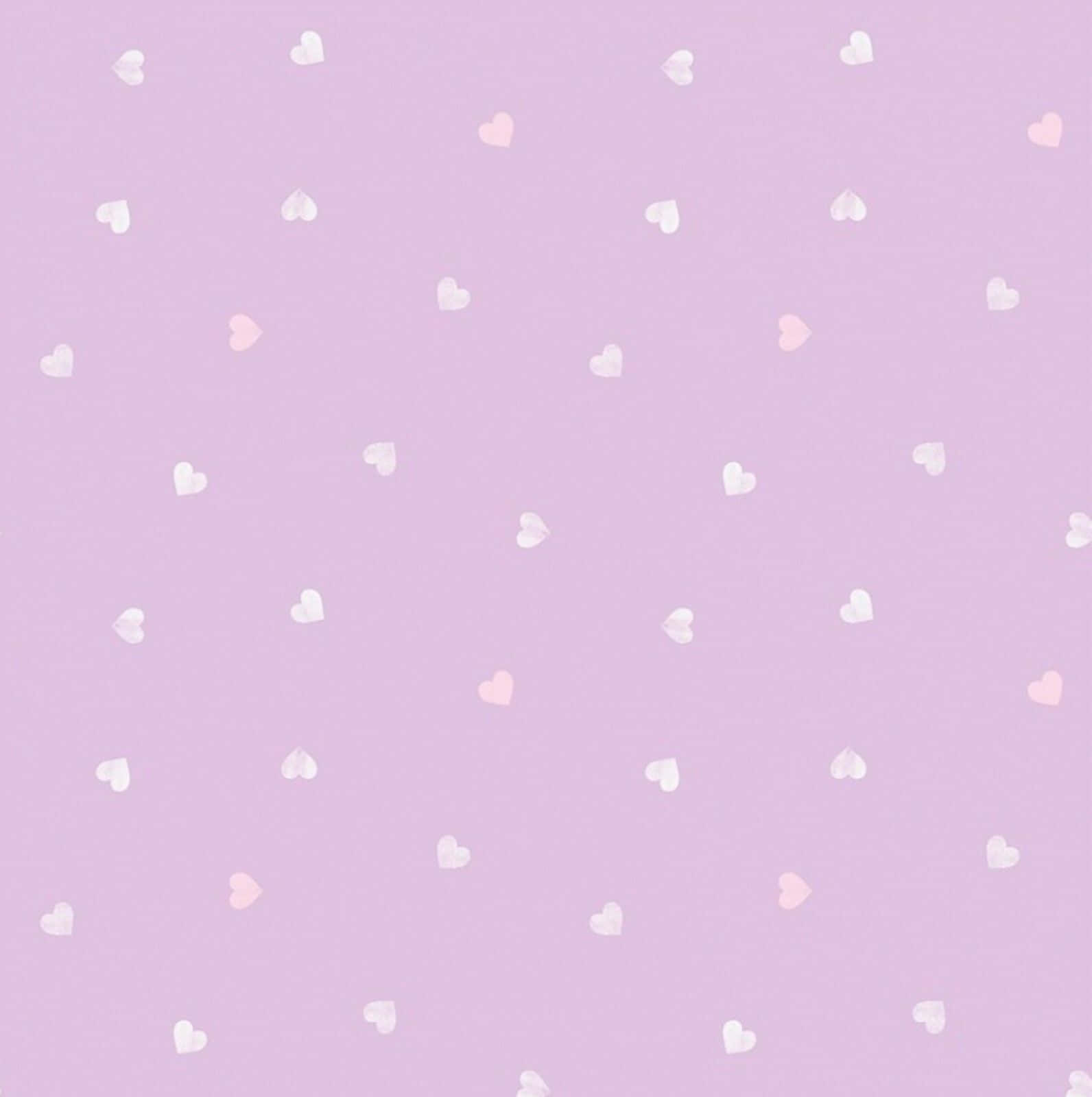 lilac color, lavender, white, HD Phone Wallpaper
