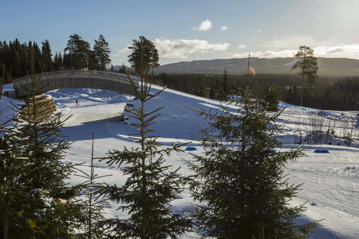 Lillehammer, sunrise, snowy slope, SD Desktop Wallpaper