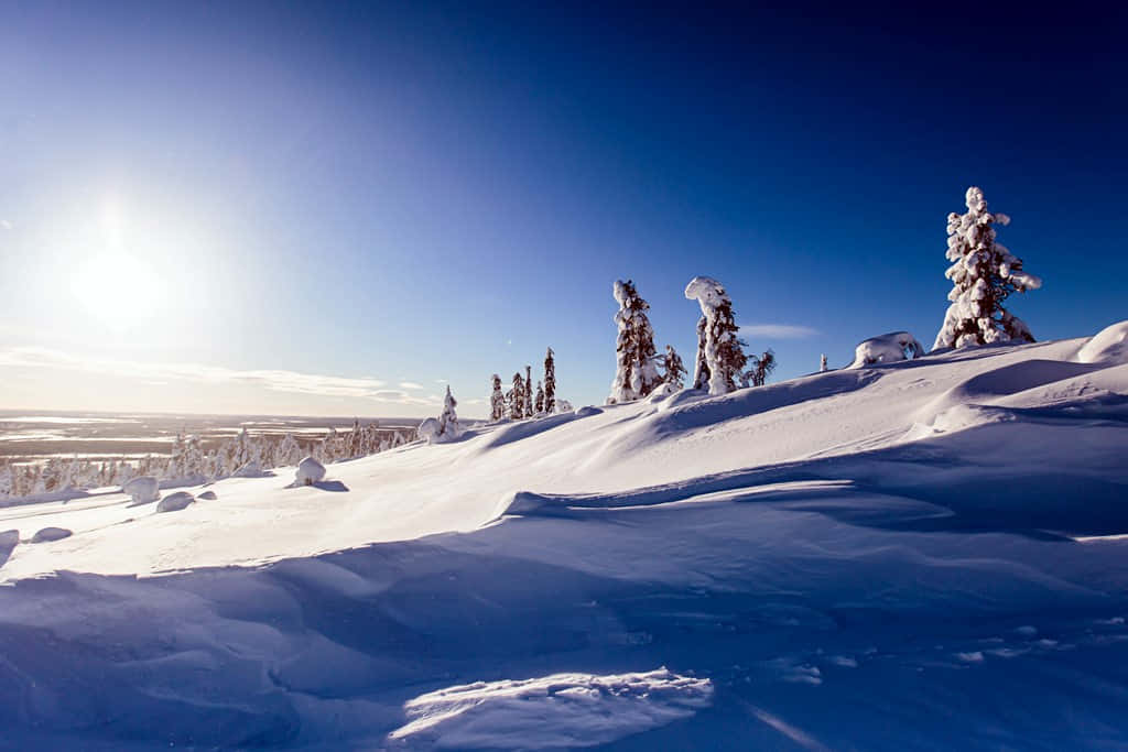 Lillehammer, winter sunrise, snow-covered trees, SD Desktop Wallpaper