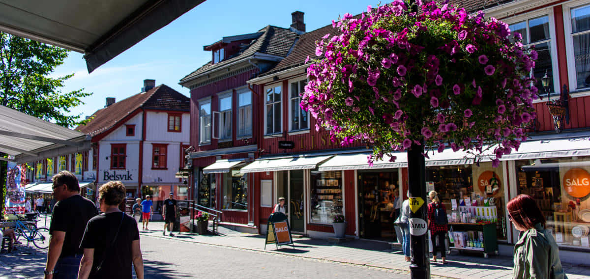 Lillehammer, town center, sunny day, SD Desktop Wallpaper