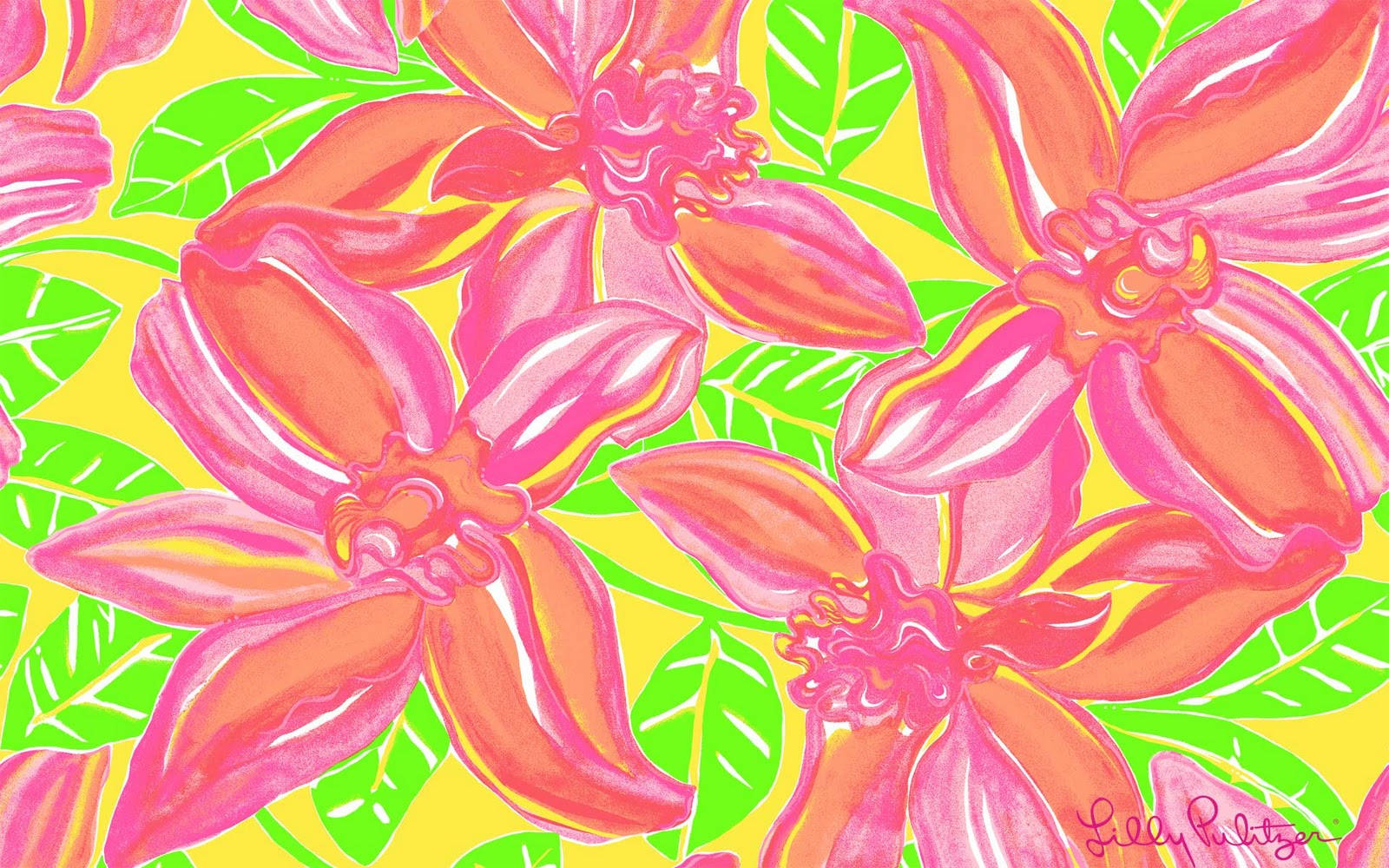 Lilly Pulitzer, large pink flowers, tropical flowers, HD Desktop Wallpaper