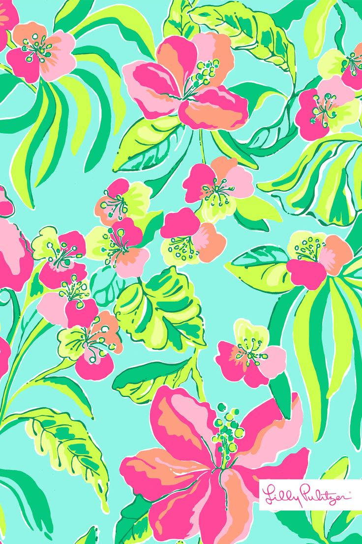 Lilly Pulitzer, hibiscus, pink hibiscus flowers, SD Phone Wallpaper