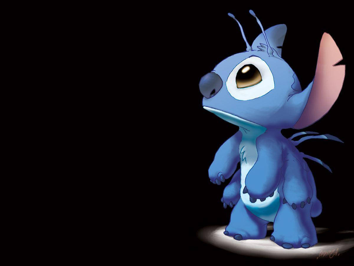 Lilo Stitch, blue alien character, large eyes, SD Desktop Wallpaper