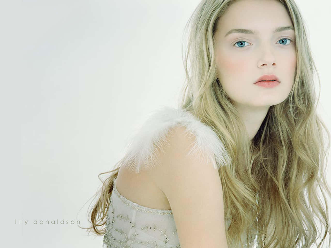 Lily Donaldson, white feathered top, long blonde hair, HD Desktop Wallpaper