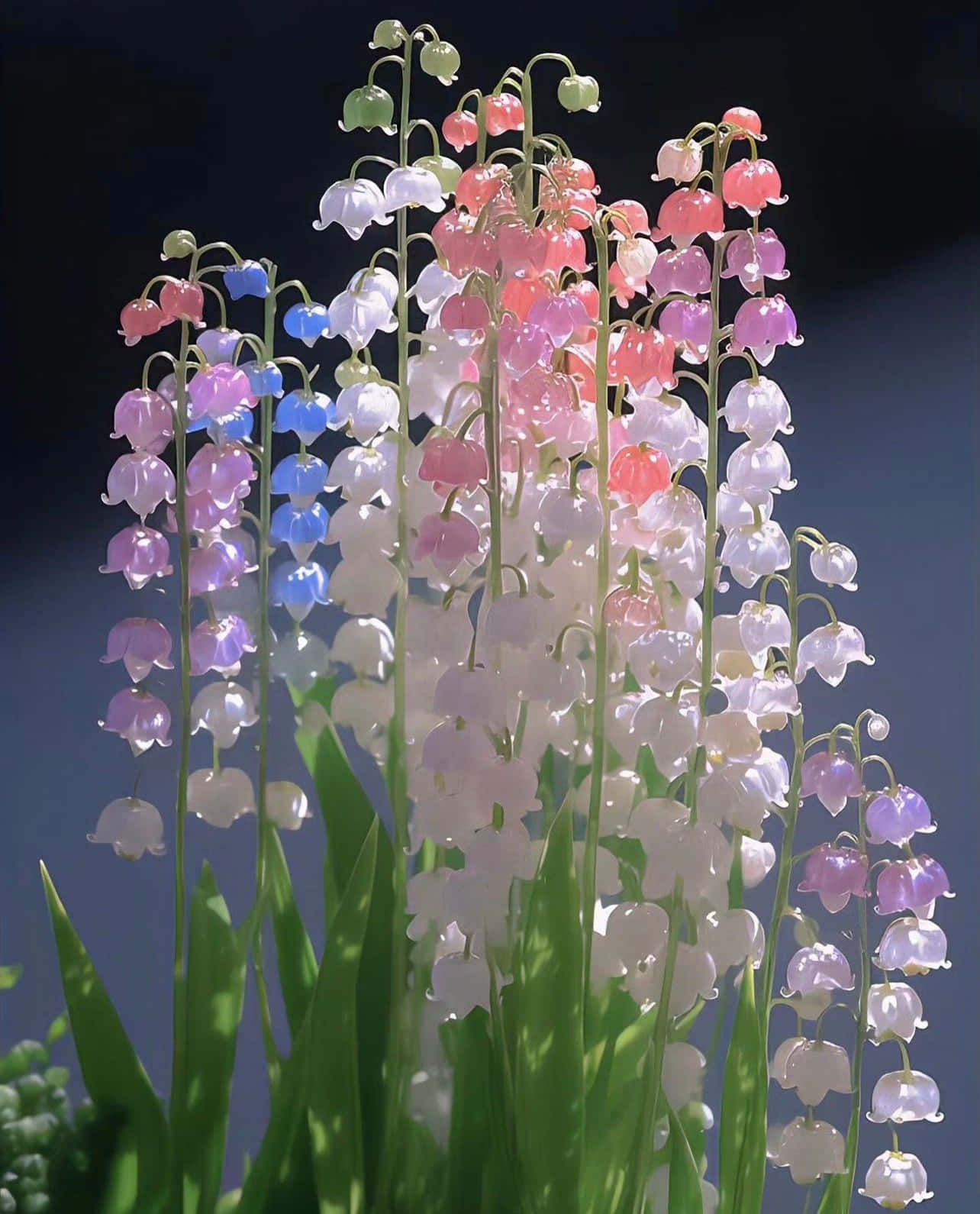 lily of the valley, soft pink lavender, white bells, HD Phone Wallpaper