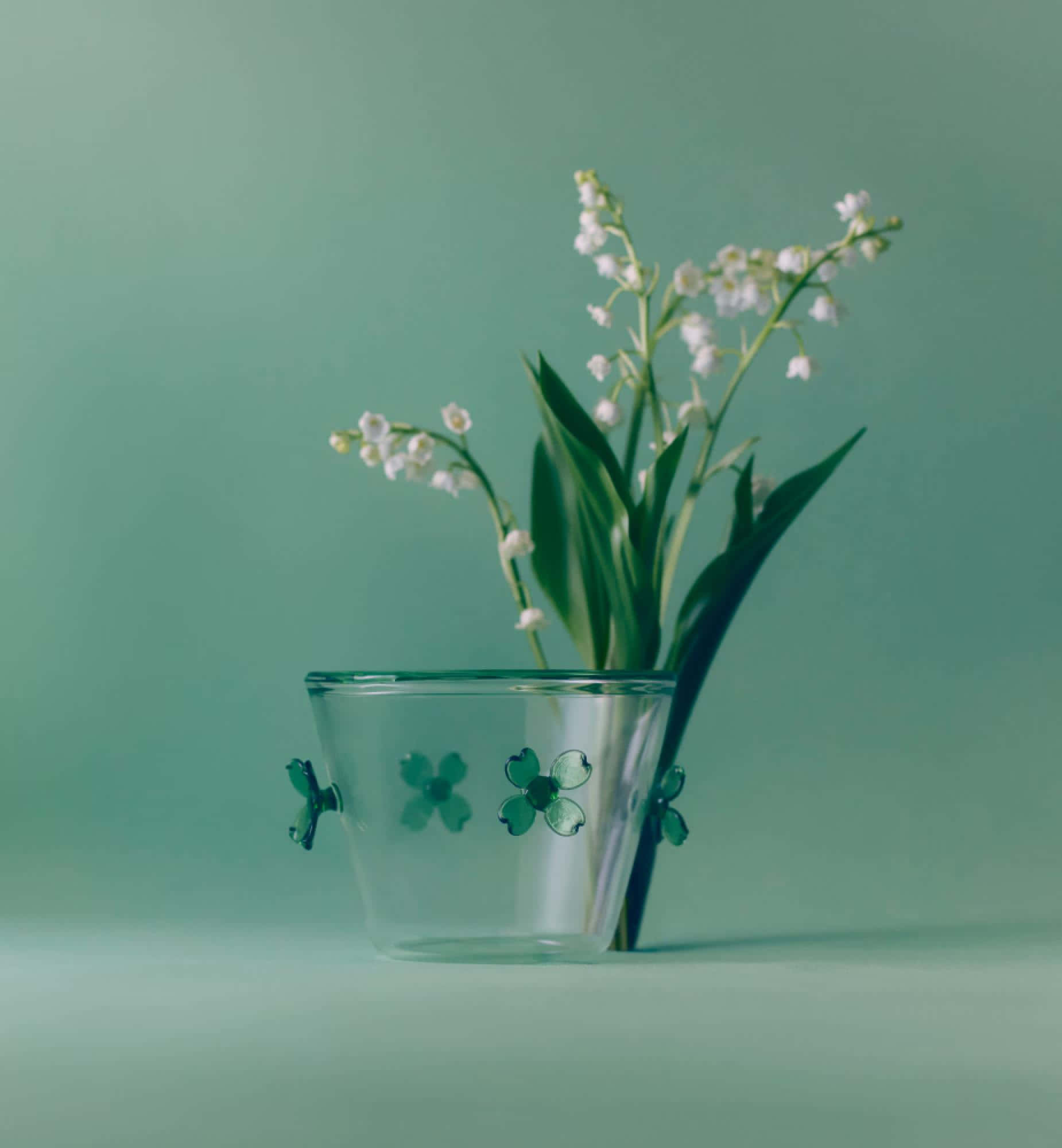Lily of the Valley, clear glass vase, green clover decals, Full HD Phone Wallpaper