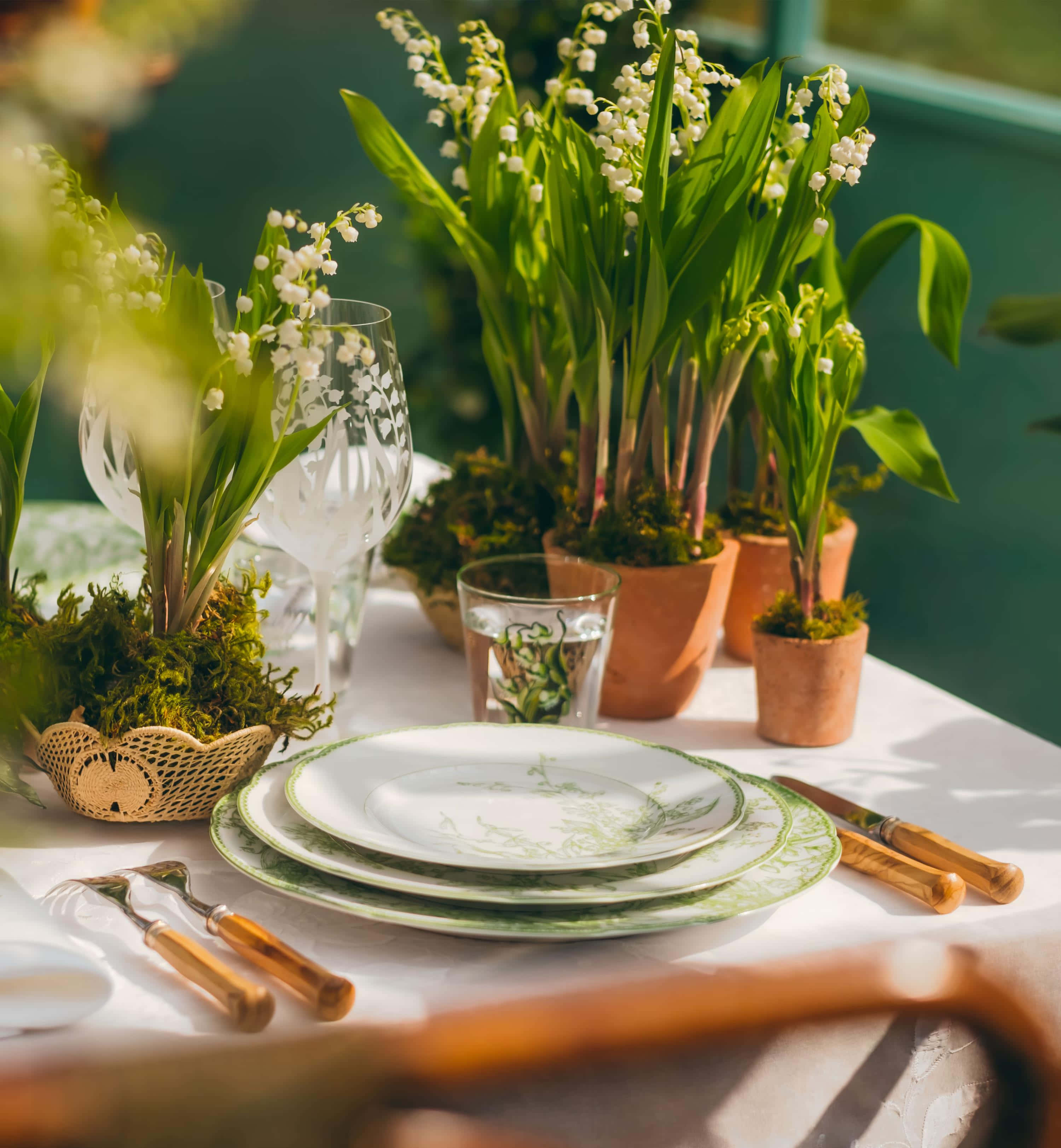 Lily of the Valley, terracotta pots, green patterned plates, 2K Phone Wallpaper