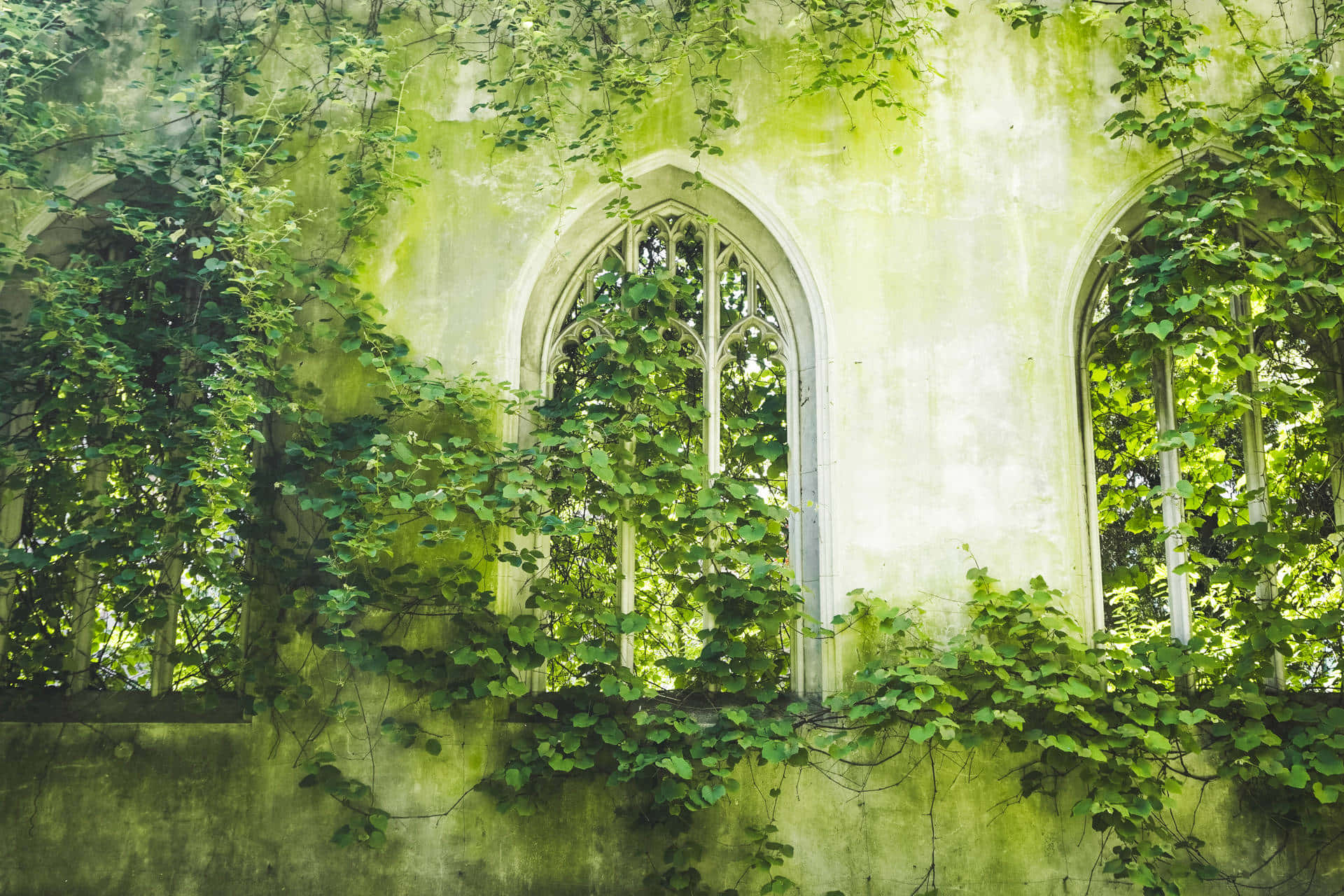 Lime Green Aesthetic, Gothic windows, weathered stone walls, Full HD Desktop Wallpaper