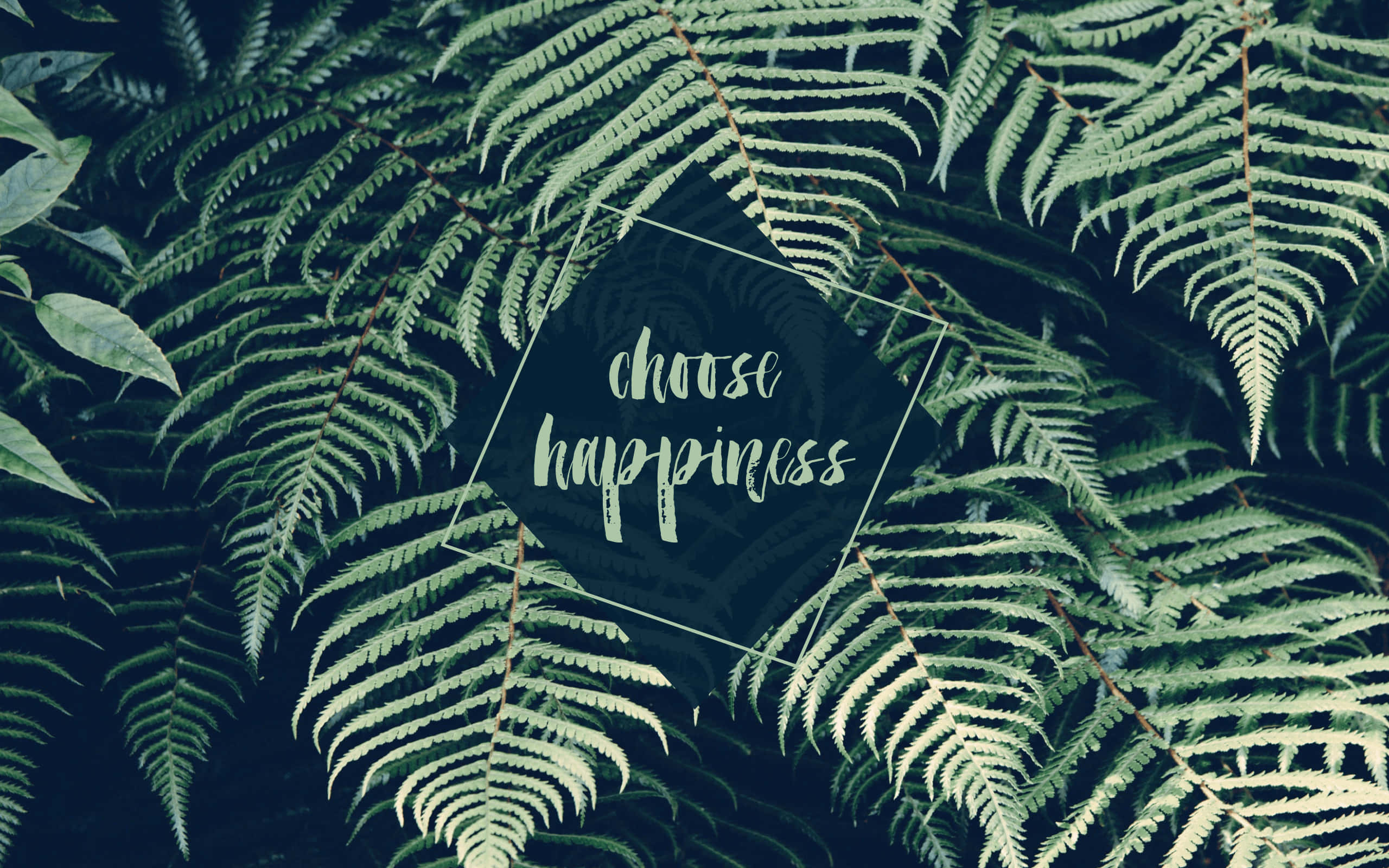 Lime Green Aesthetic, fern fronds, dark hexagon, 2K Desktop Wallpaper