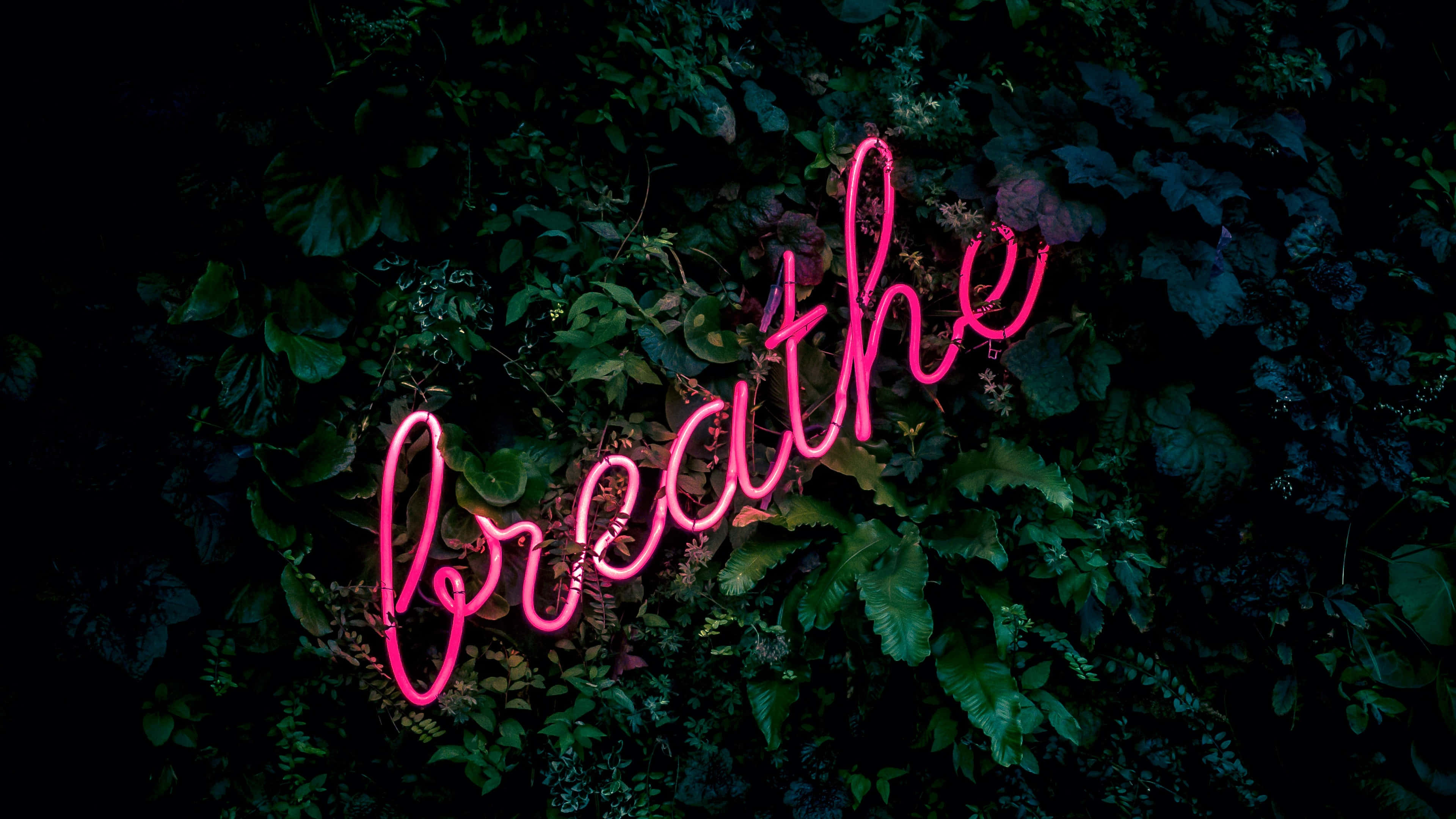 Lime Green Aesthetic, neon pink, breathe, 4K Desktop Wallpaper