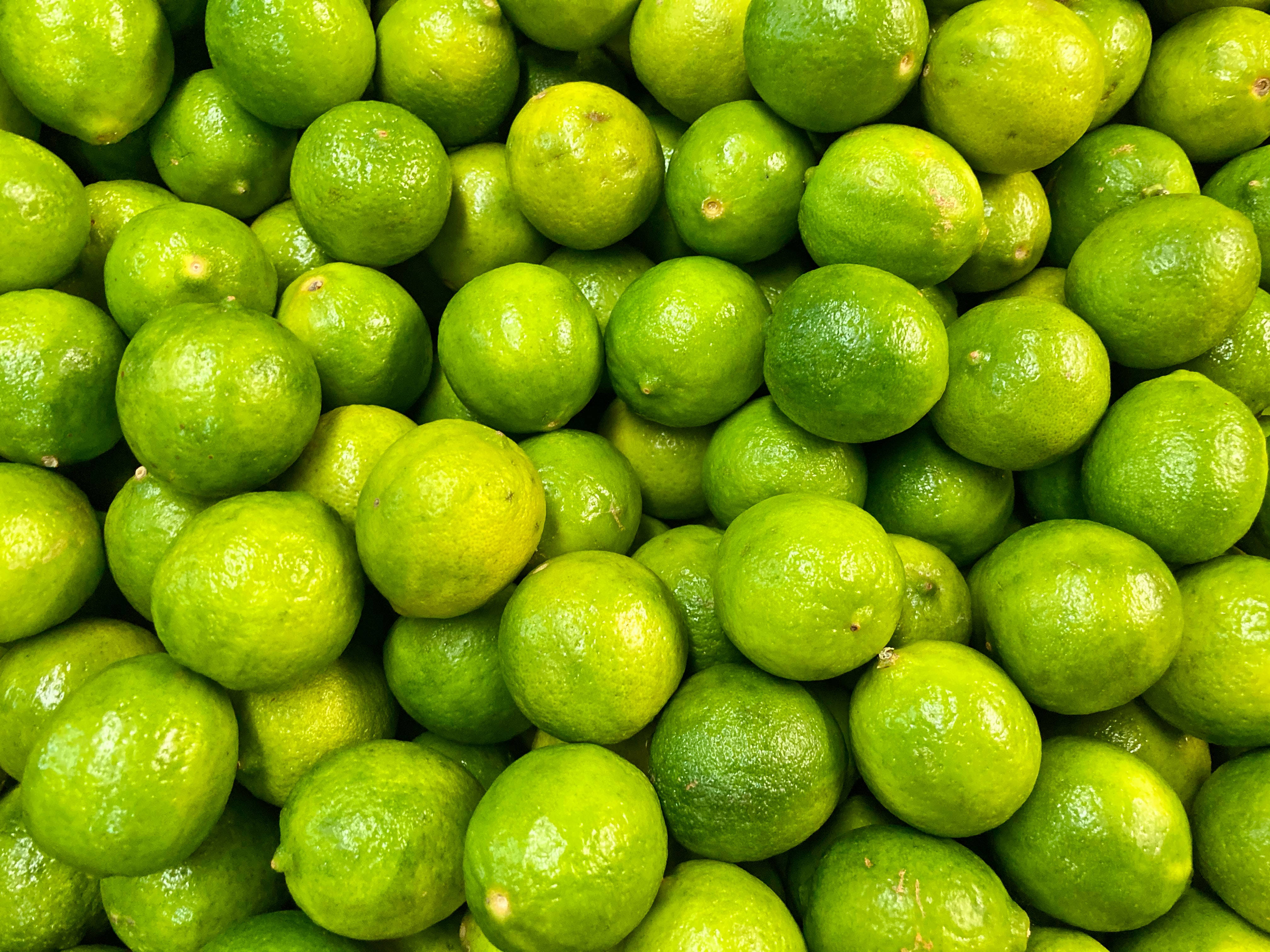 Lime Fruit, green limes, glossy skin, 4K Desktop Wallpaper