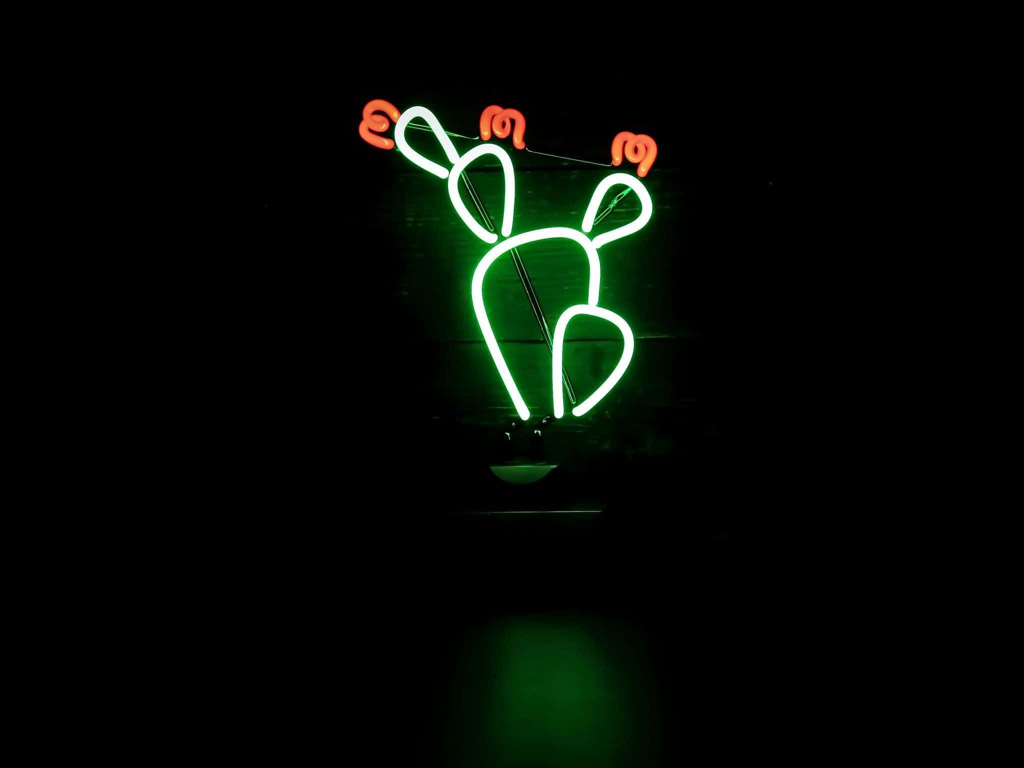 Lime Green Aesthetic, neon sign, rabbit, Full HD Desktop Wallpaper