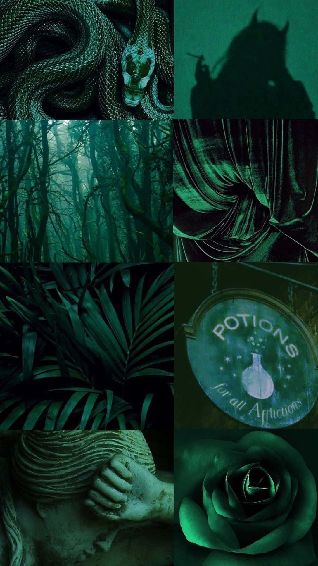 lime green aesthetic, dark green collage, snake, Full HD Phone Wallpaper