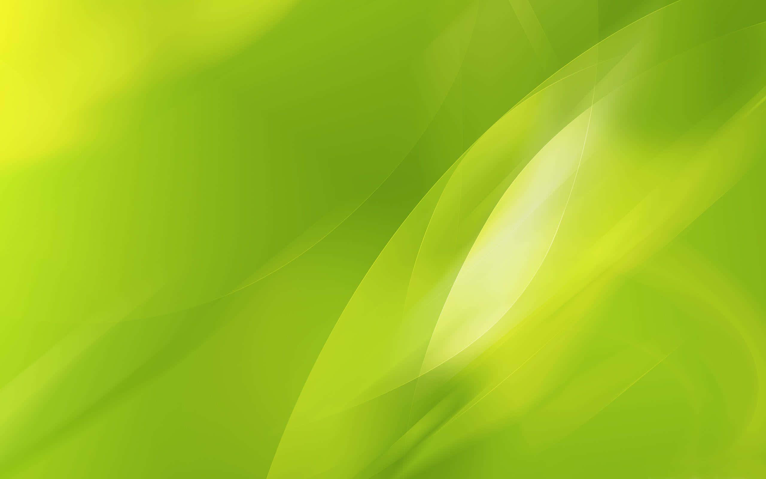 Lime Green, 2560 x 1600, abstract swirls, 2K Desktop Wallpaper