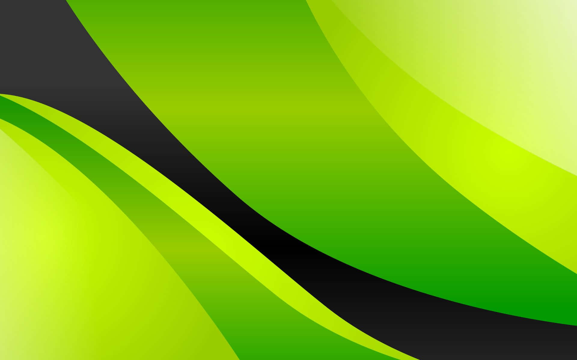 Lime Green, 1920 x 1200, abstract digital background, Full HD Desktop Wallpaper