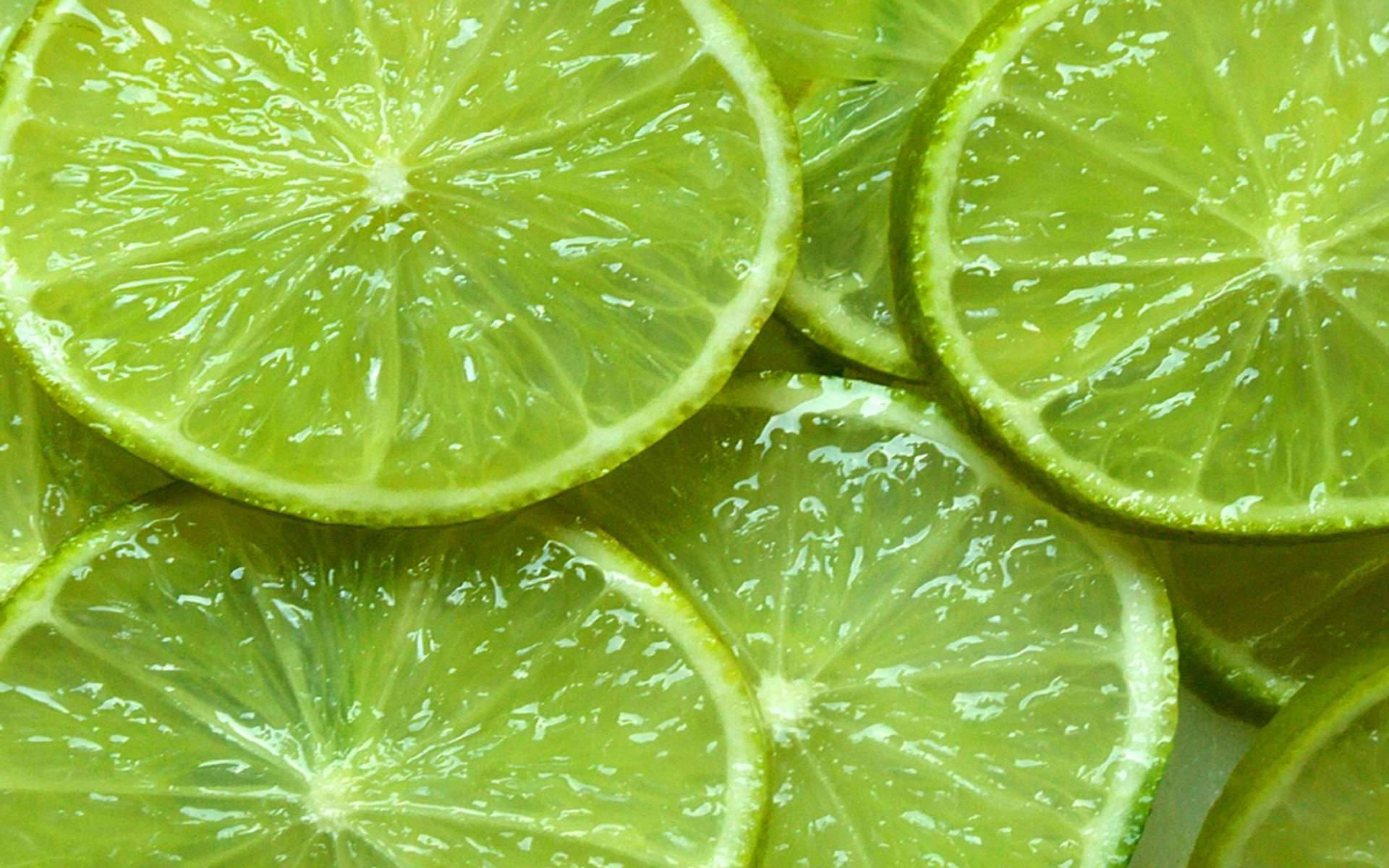 lime, thin slices, dewy droplets, Full HD Desktop Wallpaper