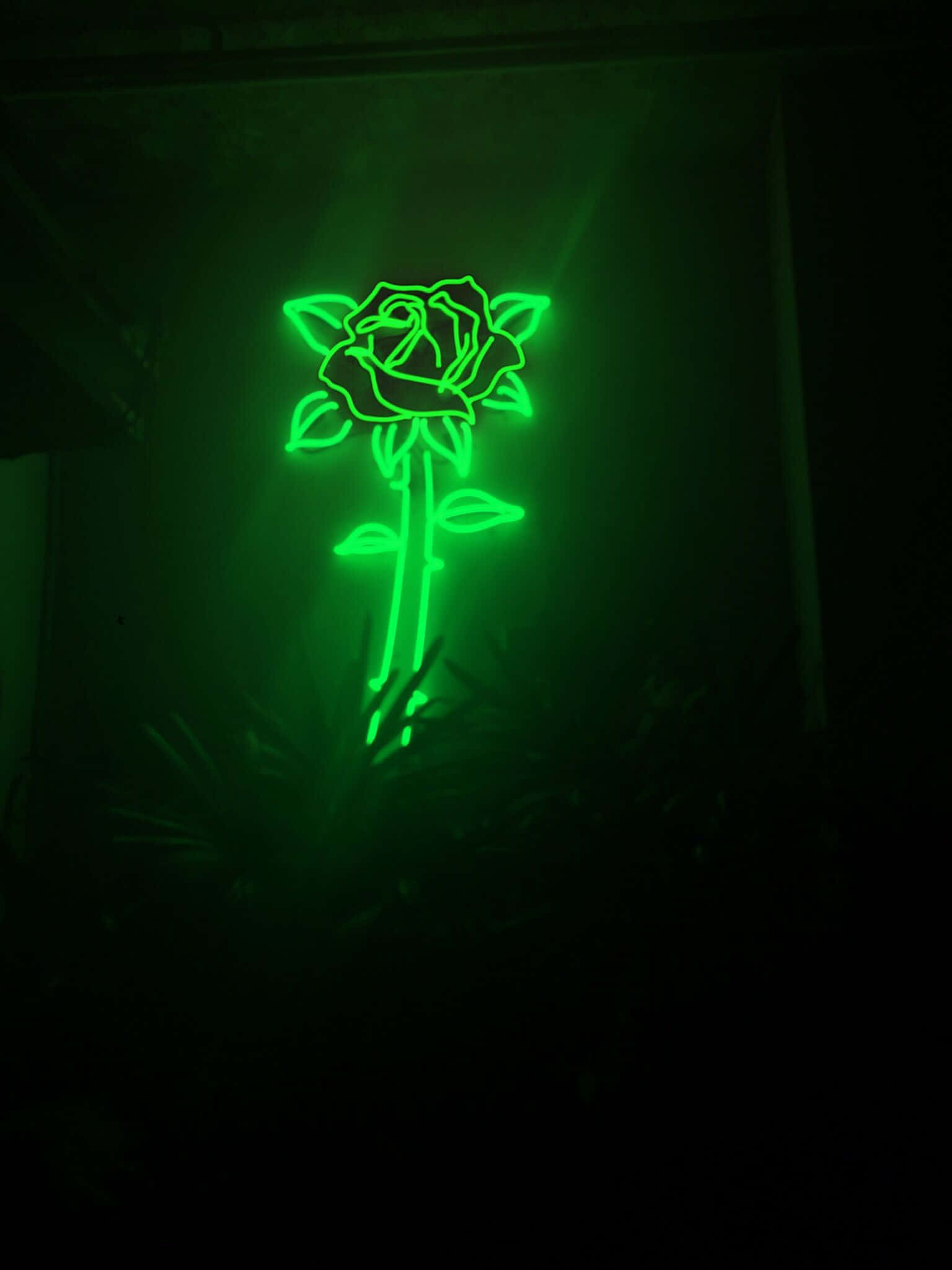 lime green, neon sign, rose, Full HD Phone Wallpaper