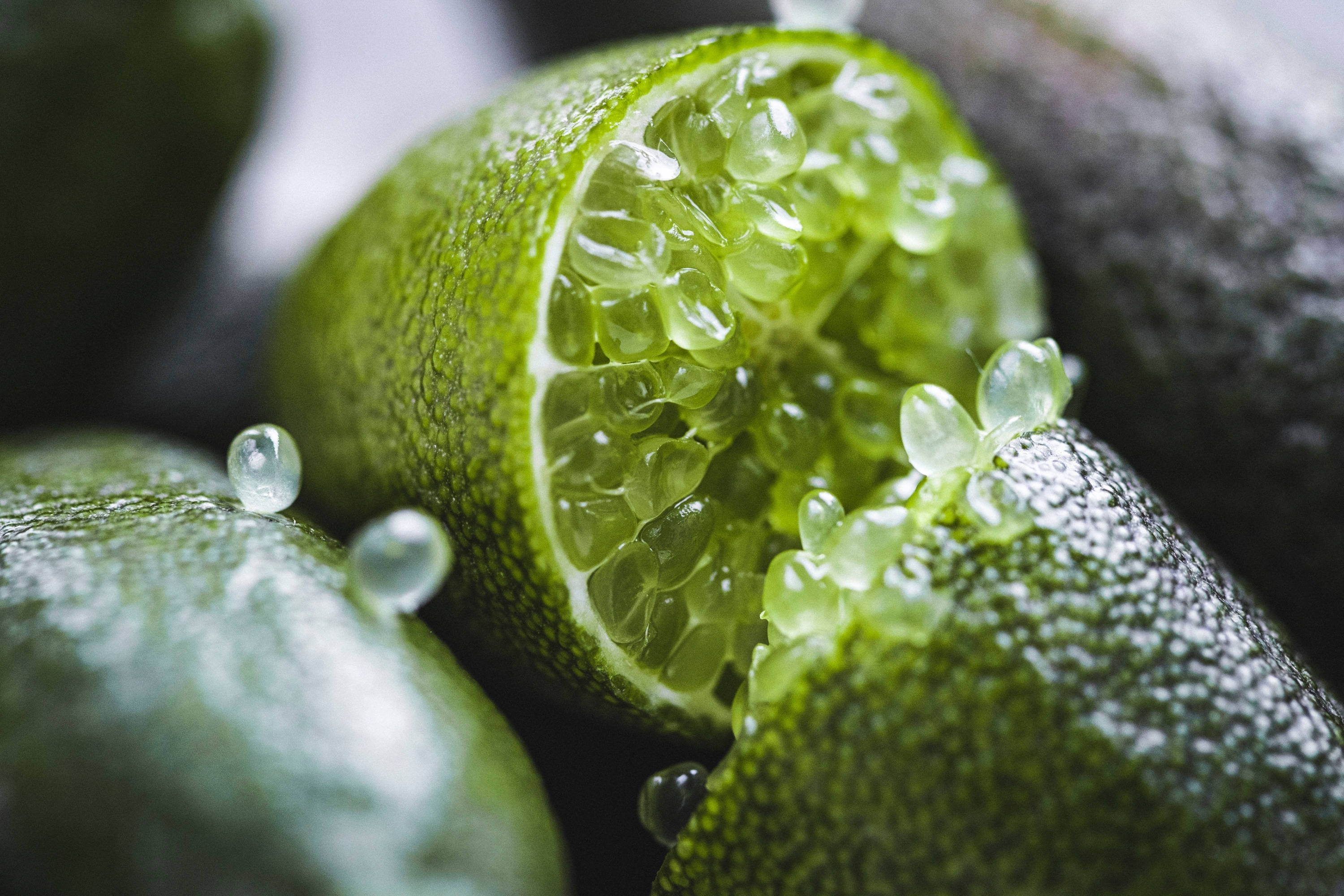 finger lime, translucent pulp, dew drops, 2K Desktop Wallpaper