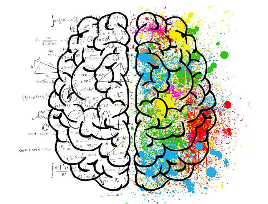 Precise Brain Art, split brain illustration, left side covered in math equations, SD Desktop Wallpaper