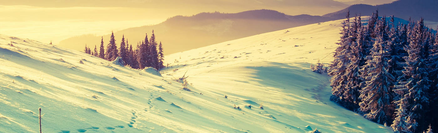 snowscape, snow-covered mountain slopes, frosty evergreen trees, HD Desktop Wallpaper
