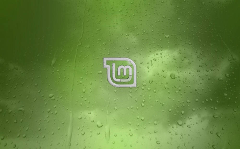 Linux Mint, white stylized logo, rain-speckled window, SD Desktop Wallpaper