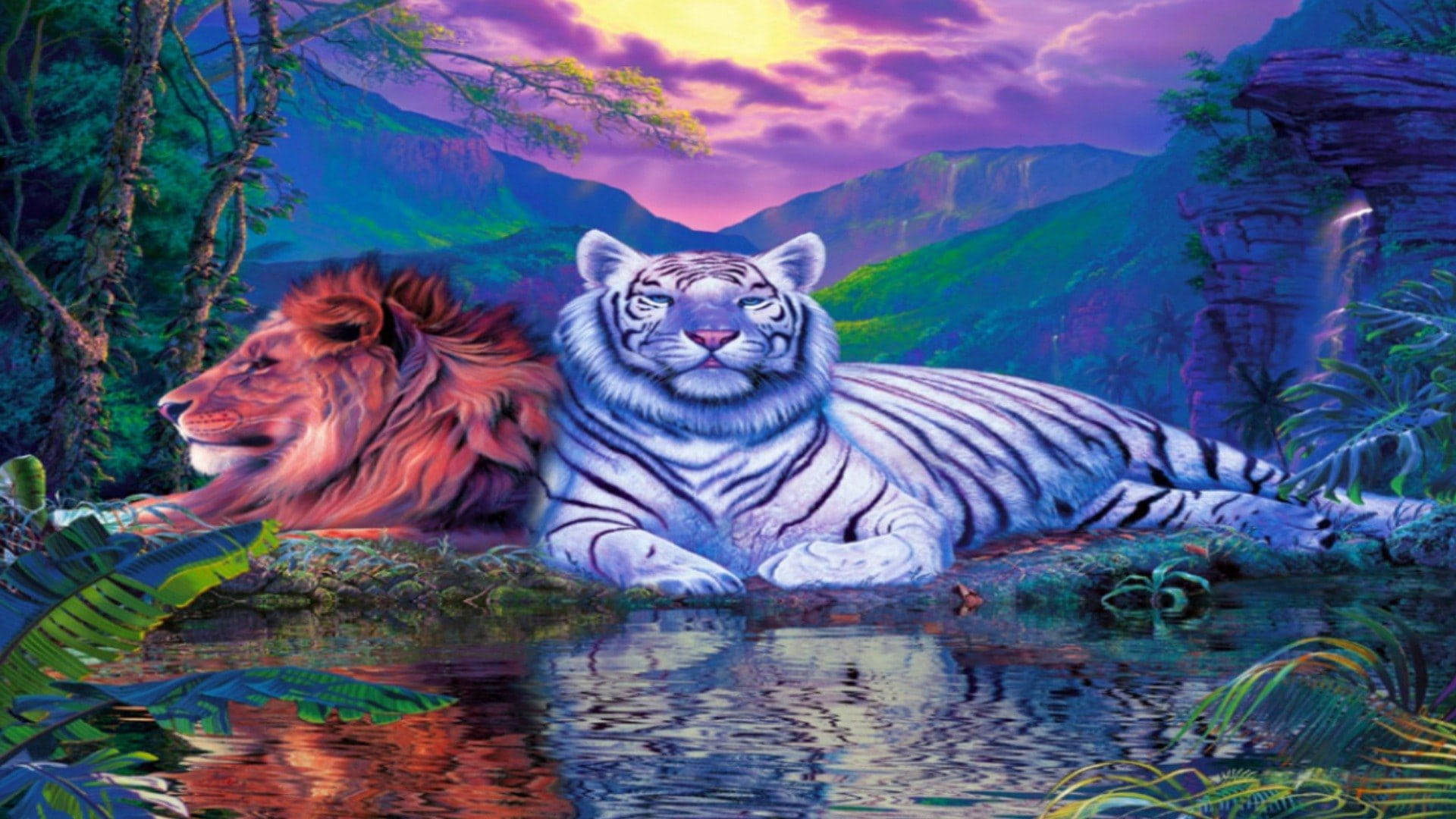 lion, white tiger, jungle stream, Full HD Desktop Wallpaper