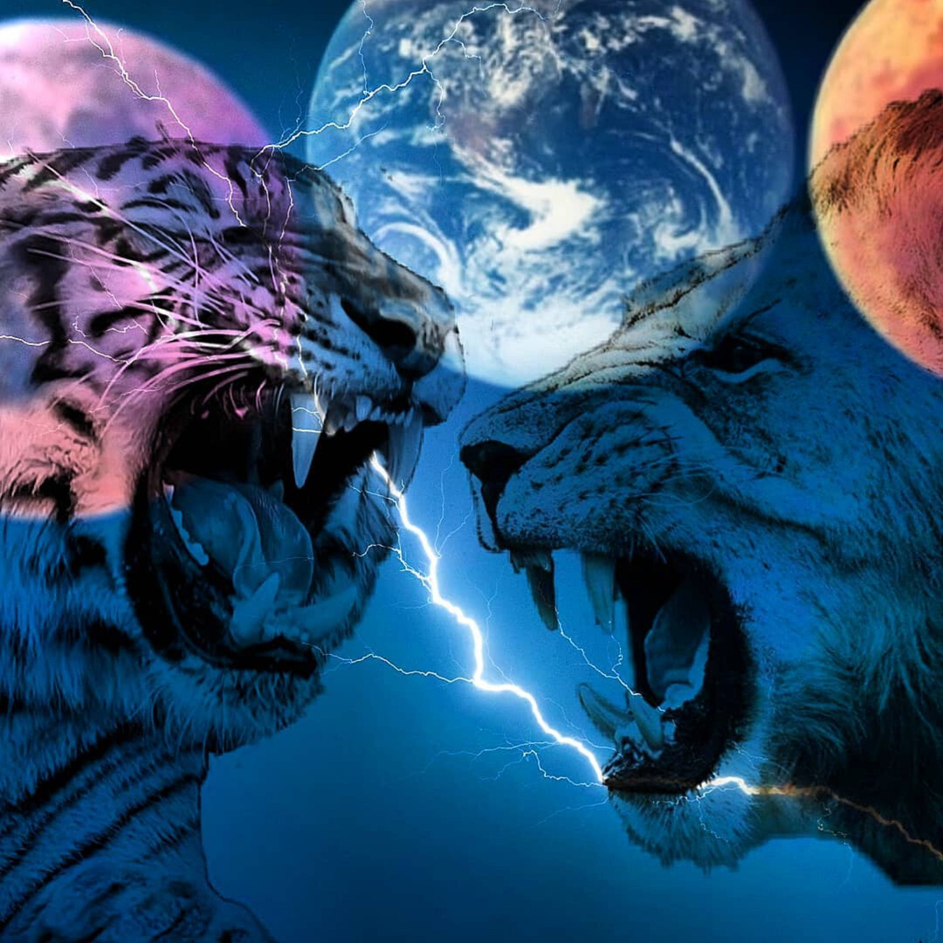 Lion And Tiger, tigers, lightning, 4K Desktop Wallpaper