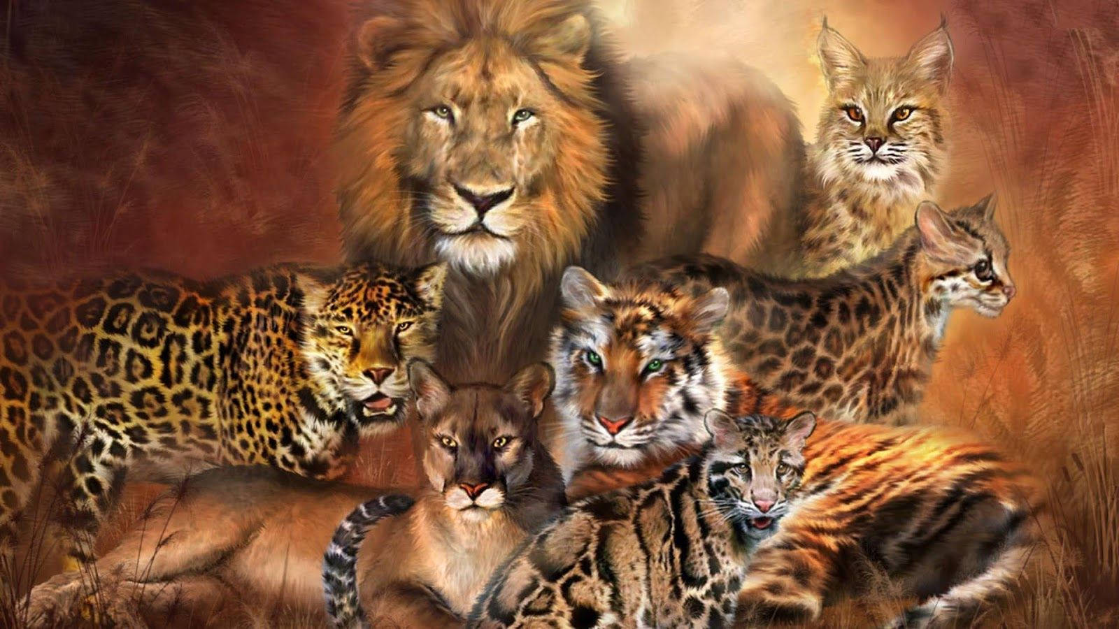 lion, tiger, leopard, HD Desktop Wallpaper