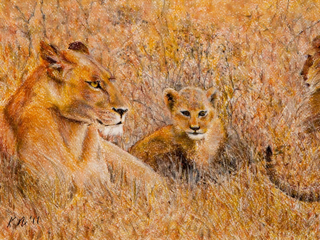 Lion cub
