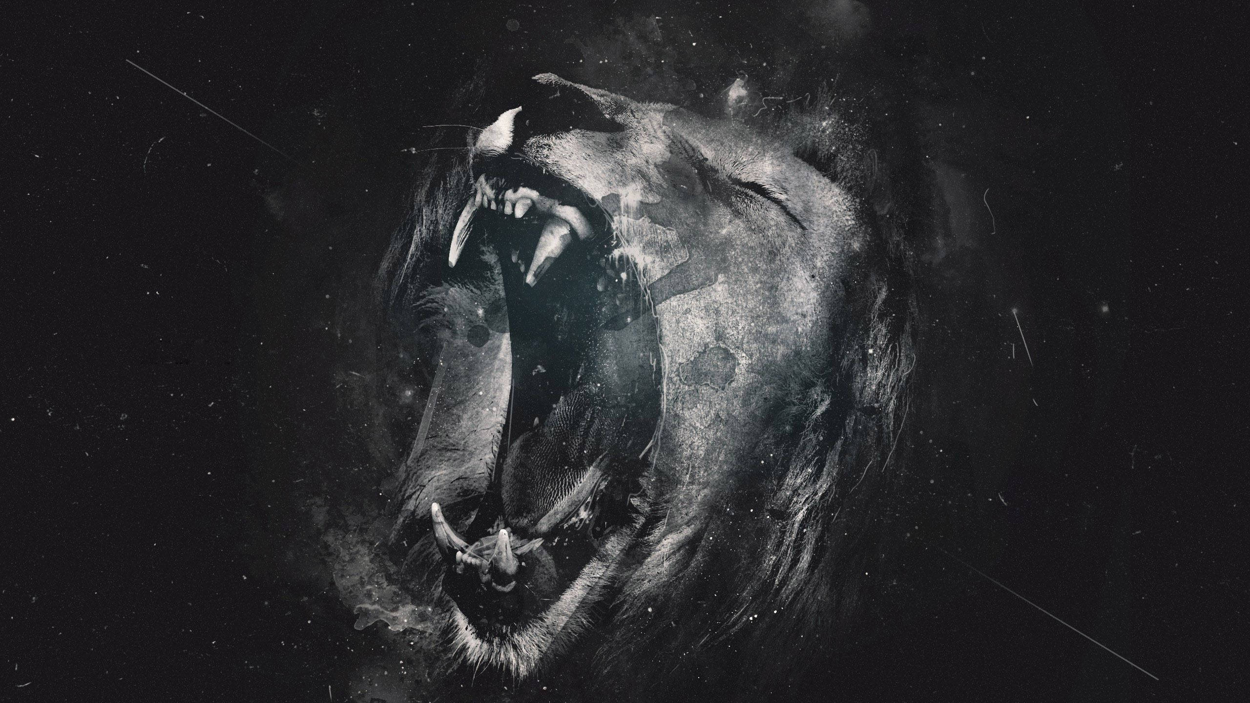 roaring lion, monochrome, cosmic particles, 2K Desktop Wallpaper